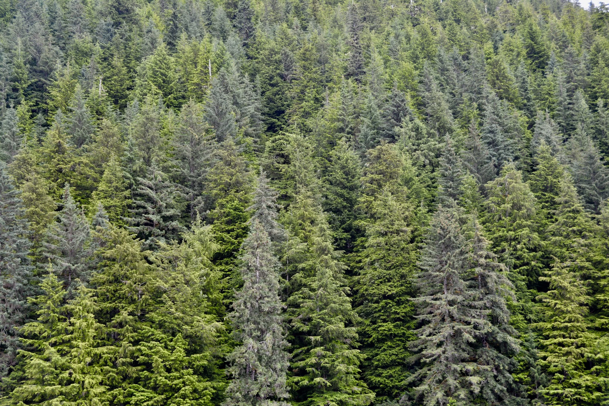 DSC_2188.jpg