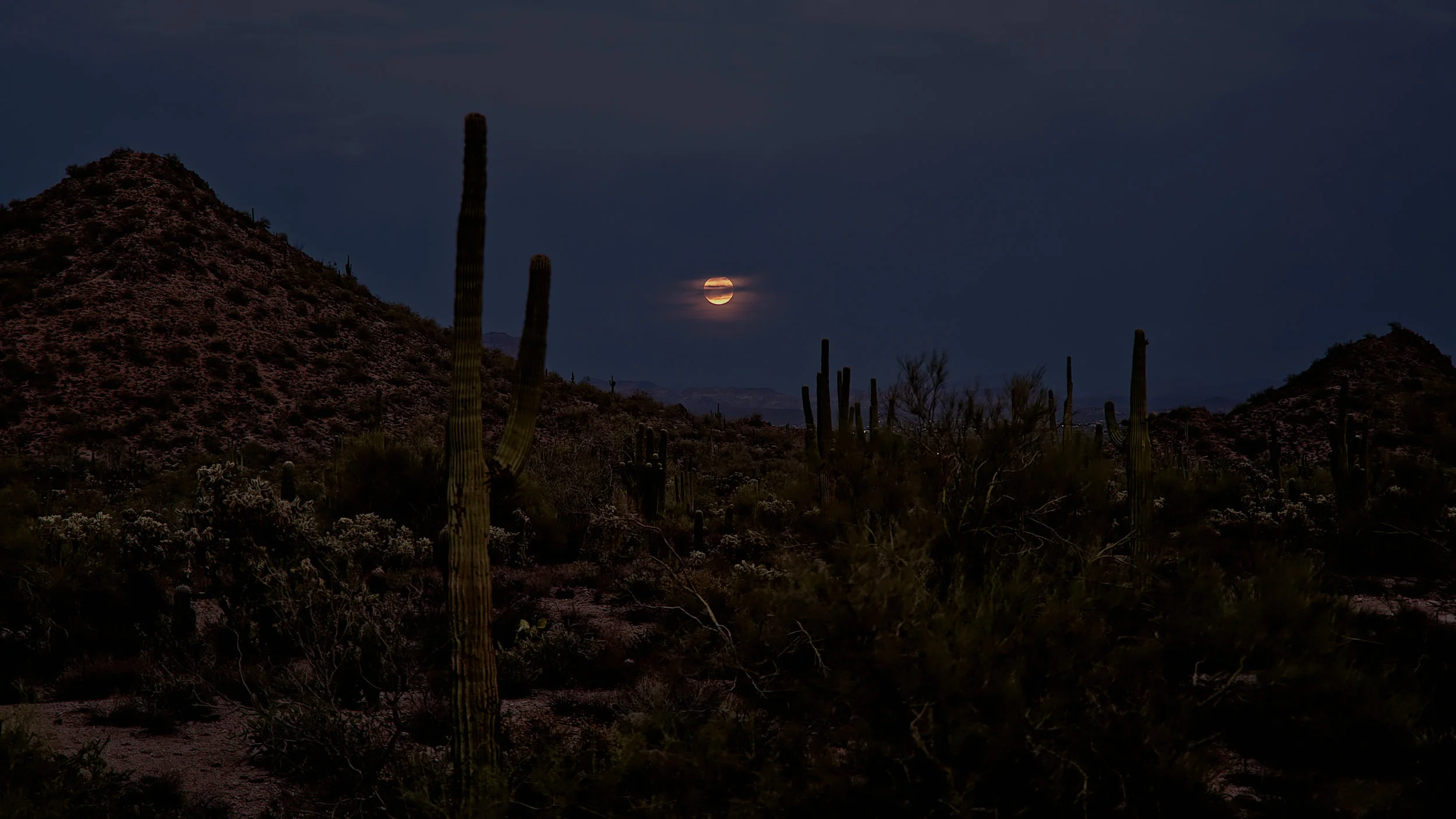 a7III - Tamron 28-75mm f2.8 >> 75mm - 1/5 - f/5 - ISO 100