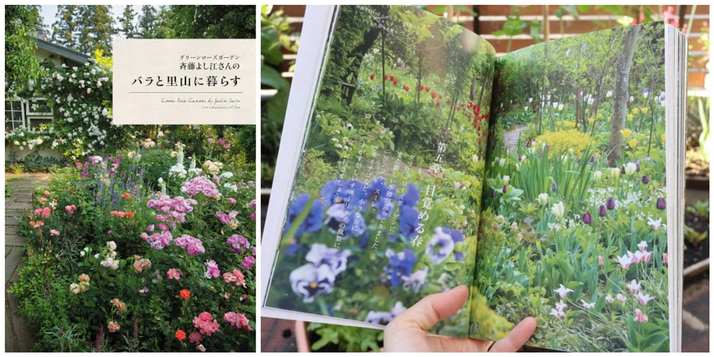 グリーンローズガーデン 斉藤よし江さんのバラと里山に暮らす 4月27日発売 Manami Yatsufuji Photography