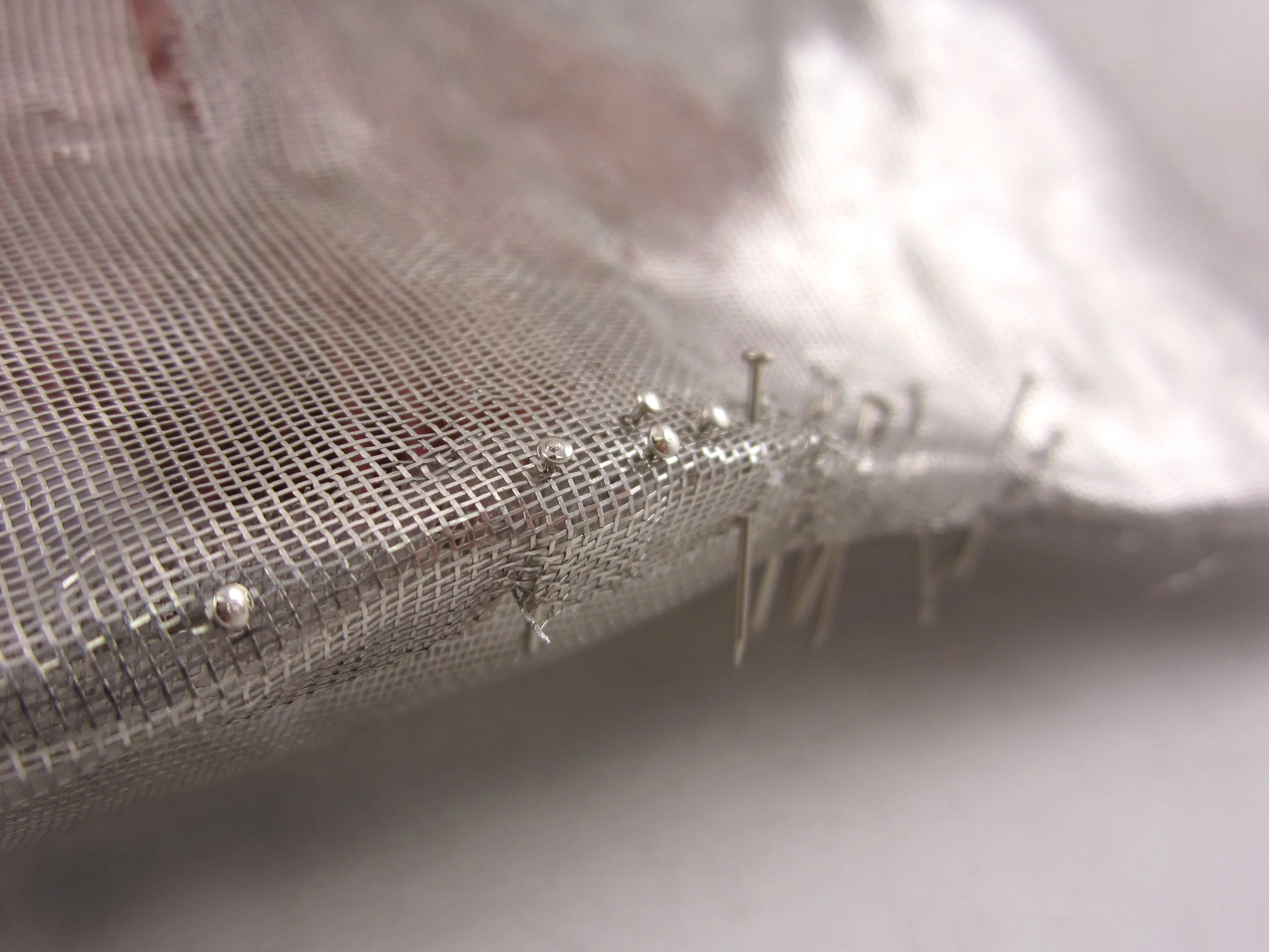 Mourned Miracidium (detail b)