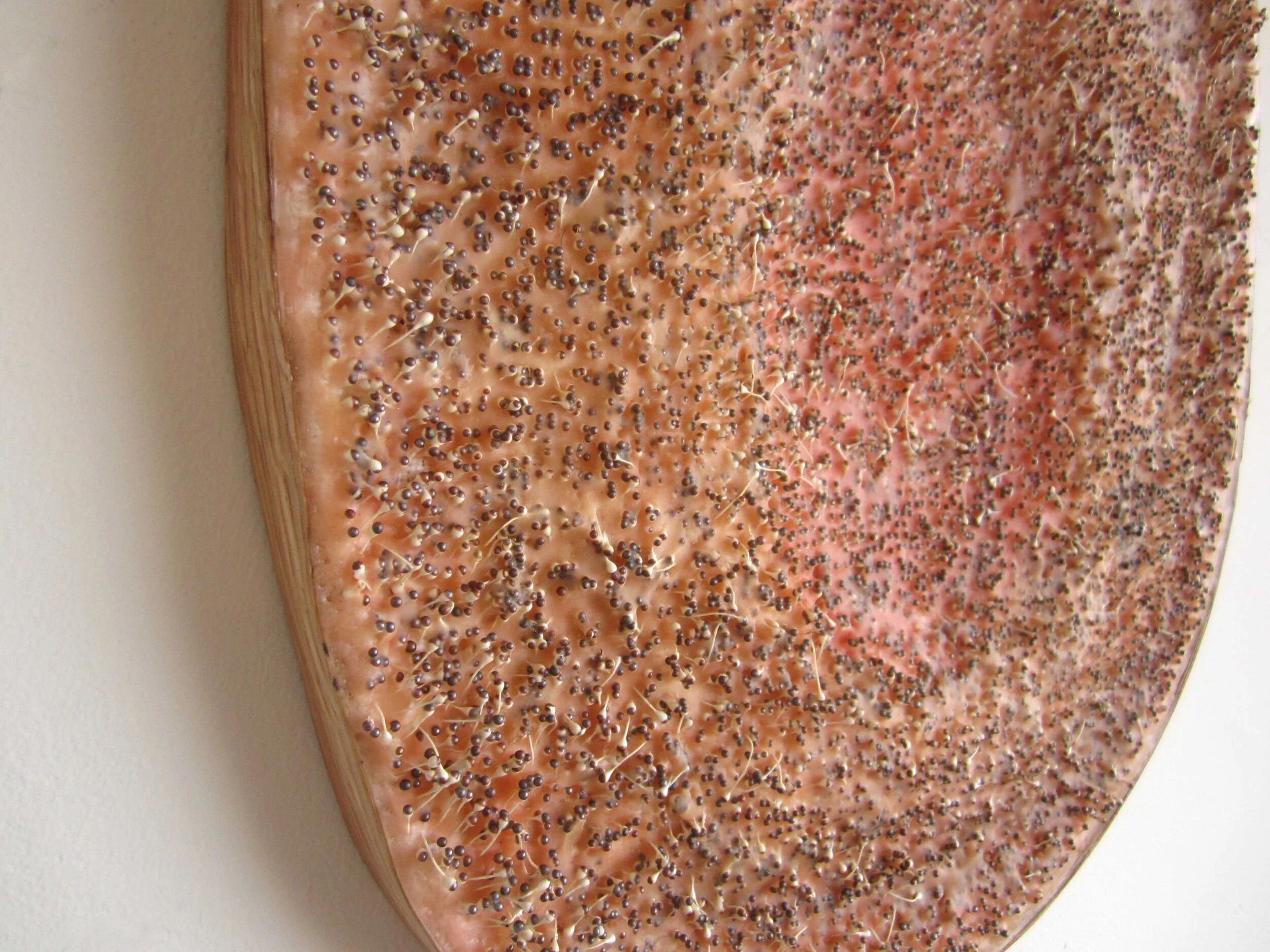 Ensepulcher (side) 