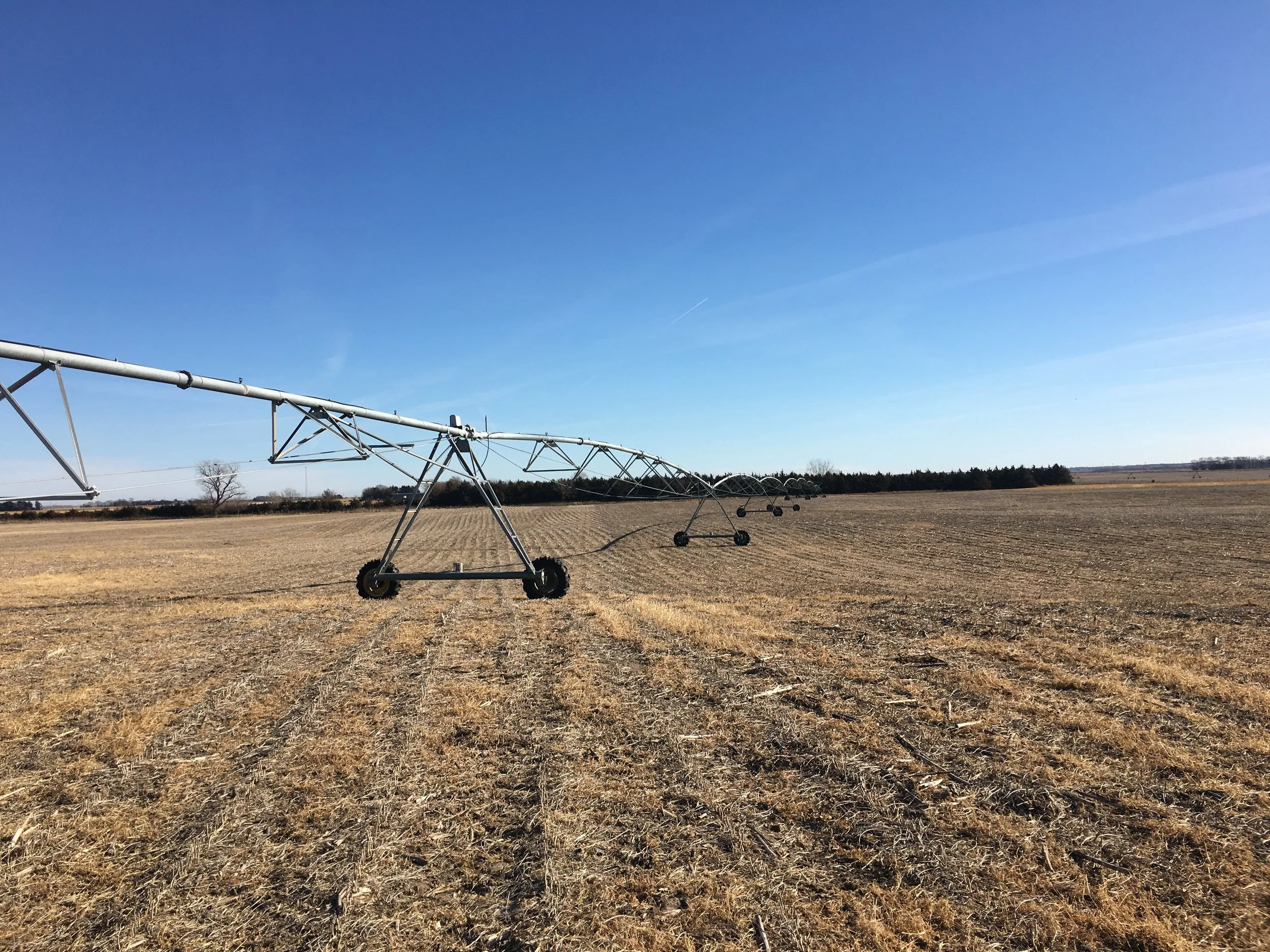 153.37 Acres Irrigated Butler County Farm