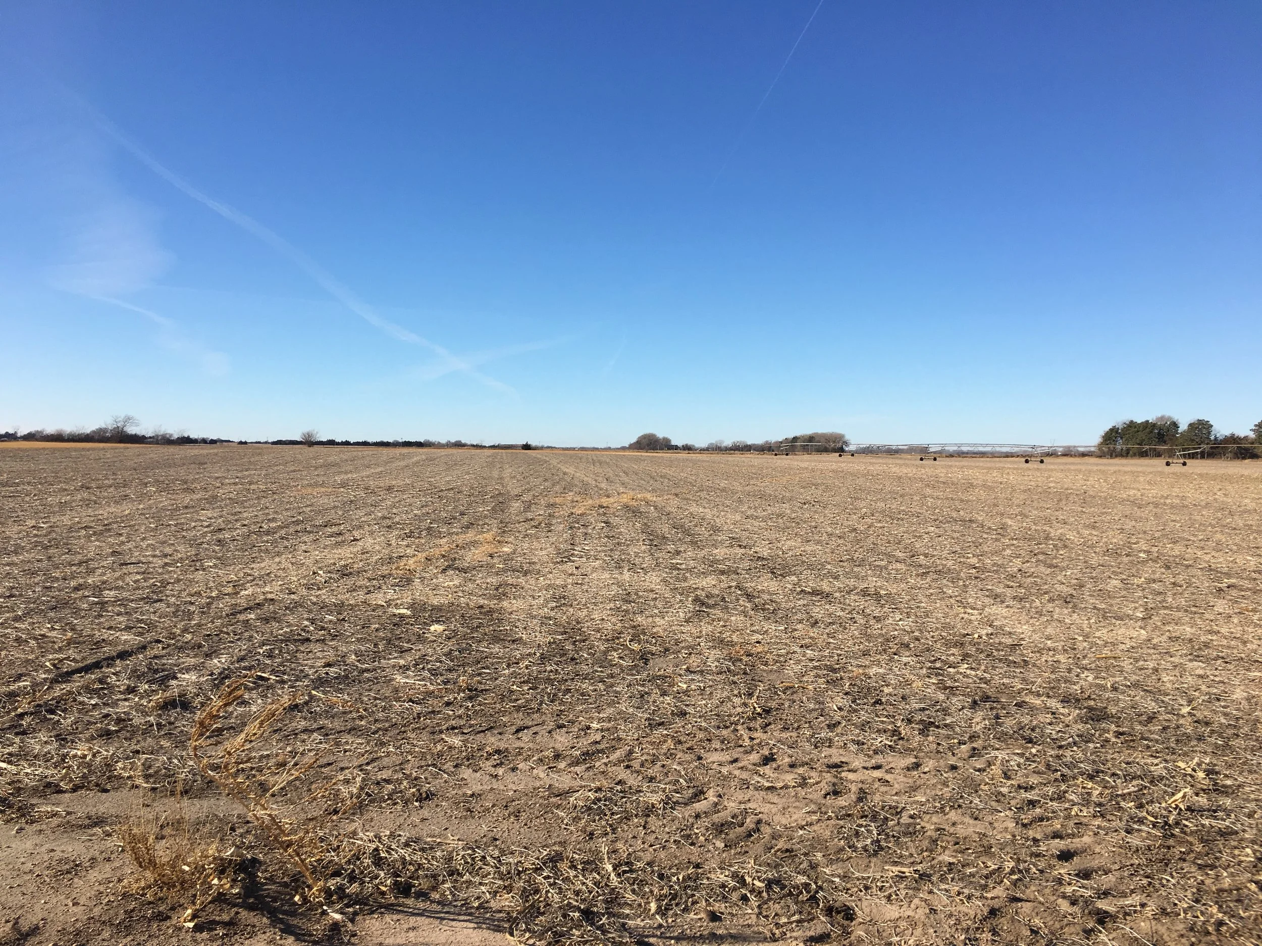Tract 4  - 80 Acres Irrigated Butler County Farm