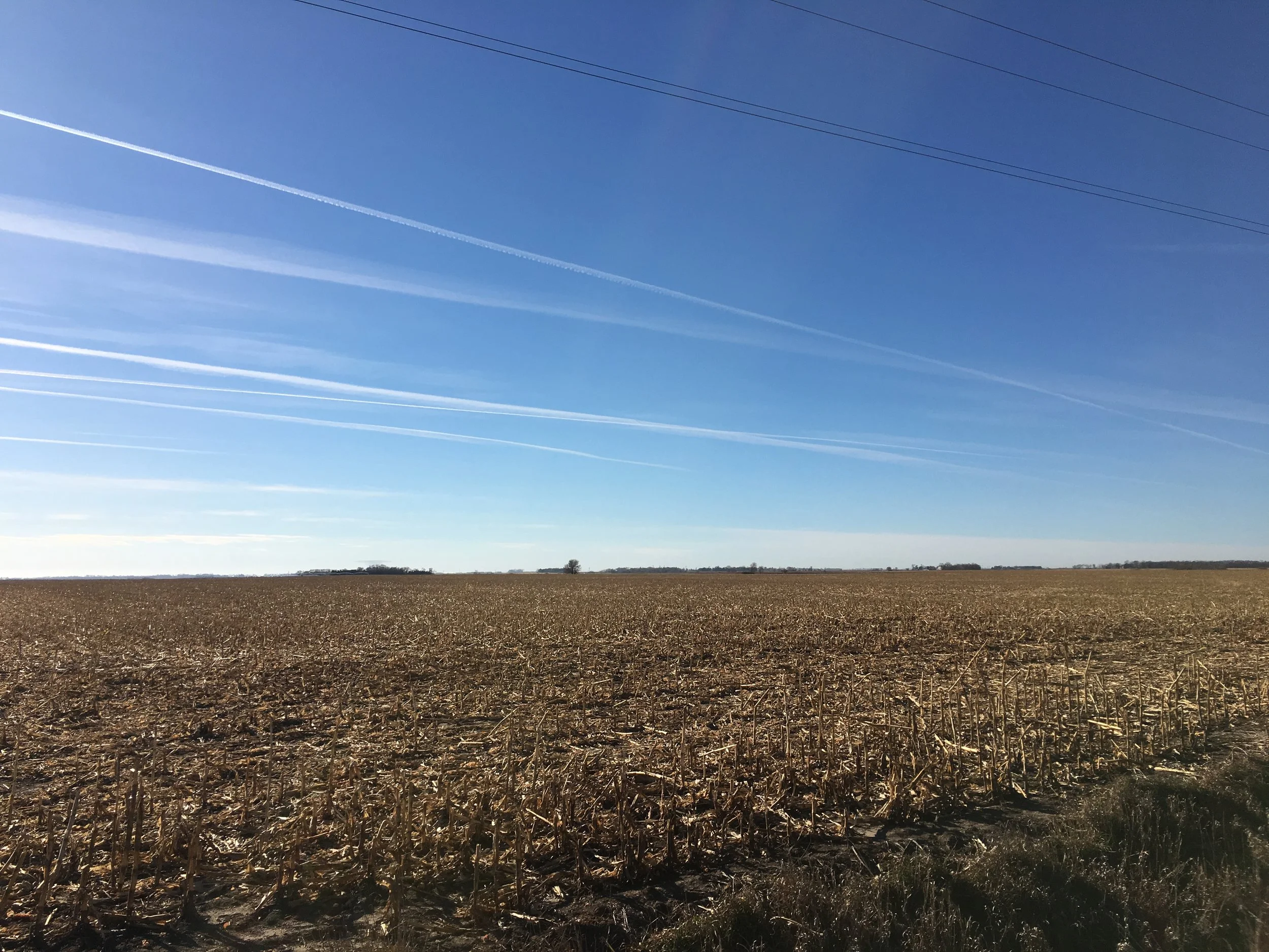 Tract 5 -  120 Acres Dryland Butler County Farm