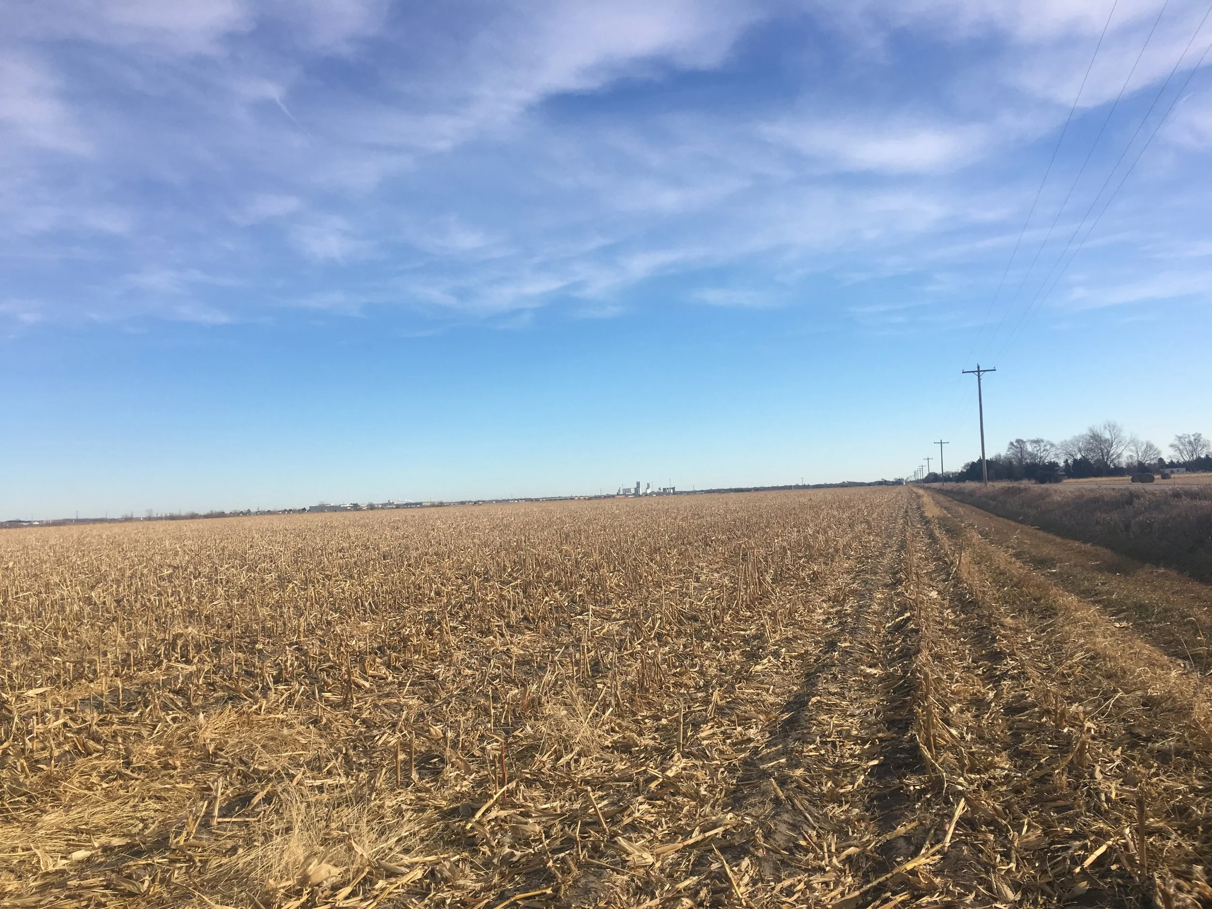LAND AUCTION Tract 1  - 80 Acres Colfax County Irrigated Farm