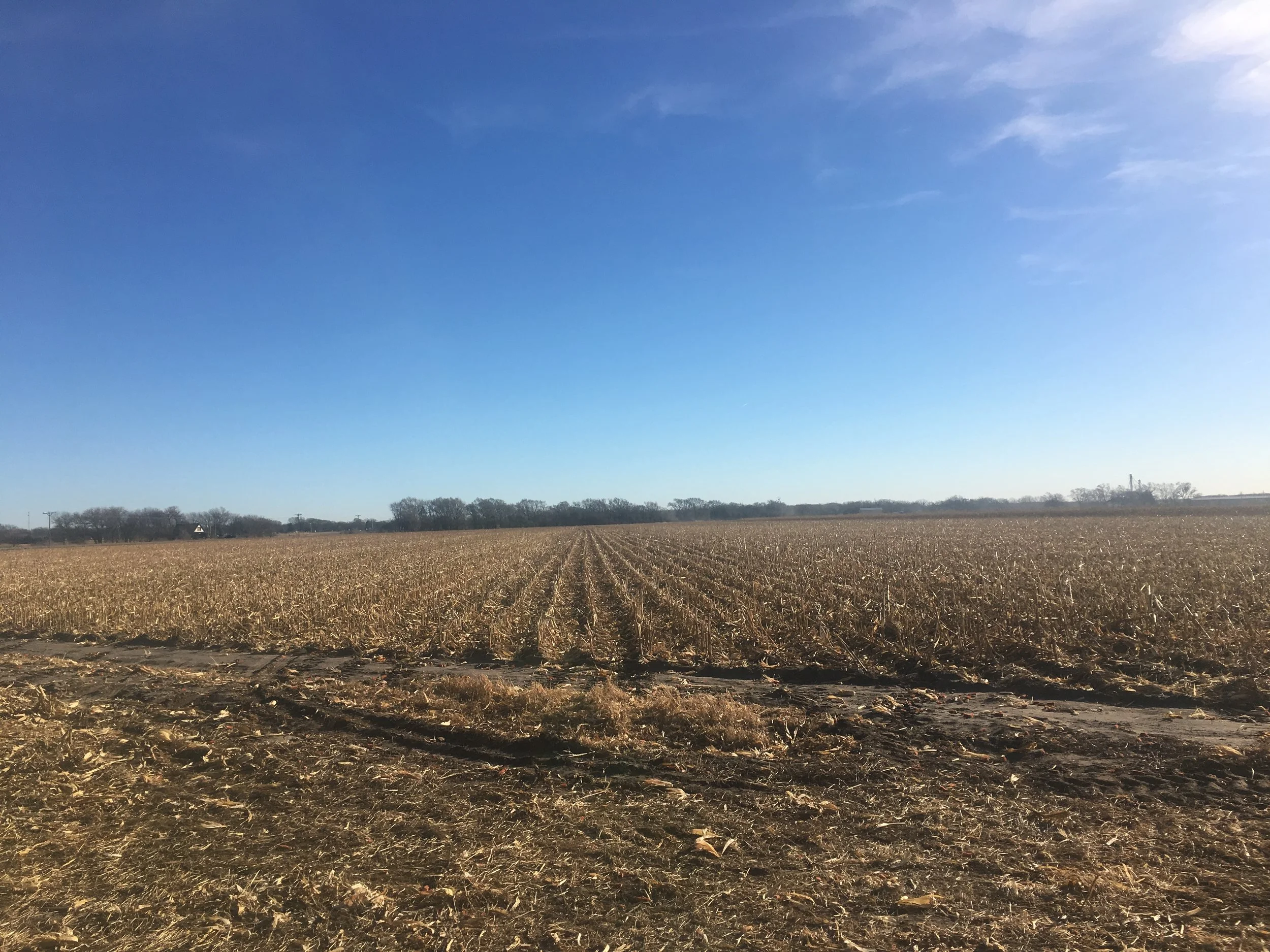 LAND AUCTION Tract 3  - 40 Acres Colfax County Irrigated Farm