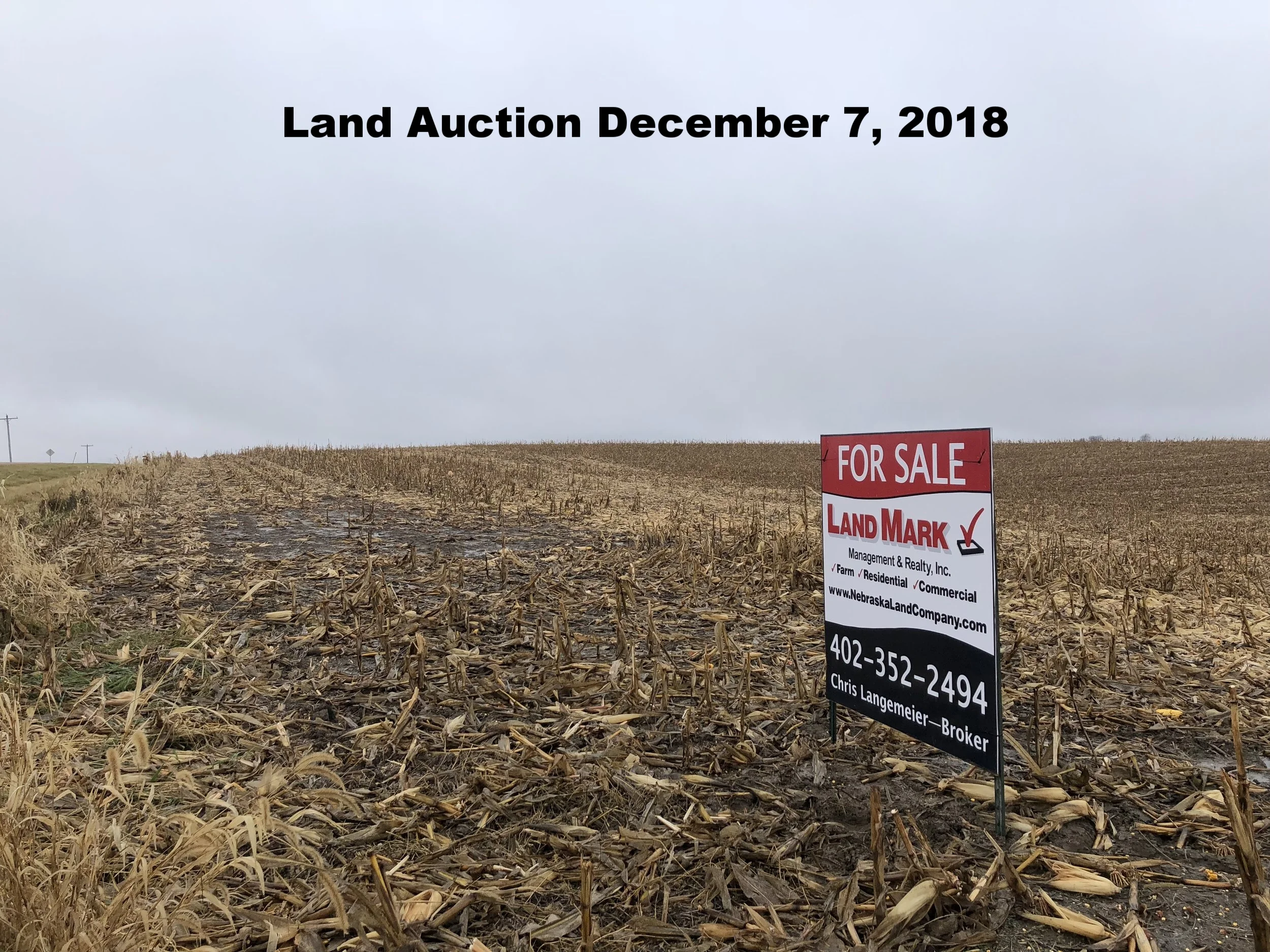 AH-HA Ranch LAND AUCTION: 40 Acre Colfax Co. Dryland Farm