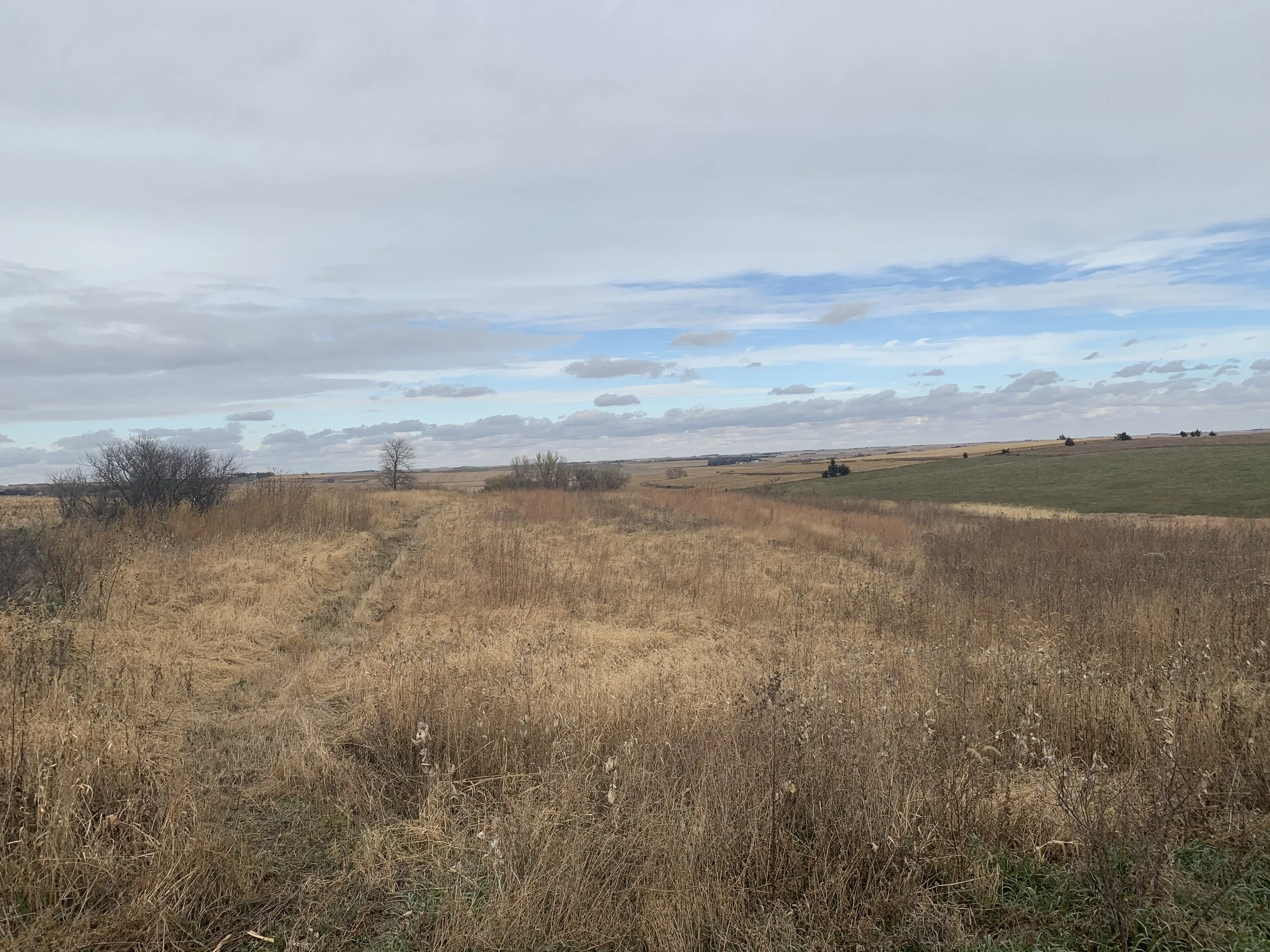 Land For Sale 78.36 +/ Acres Colfax Co. Farm — Land Mark Management