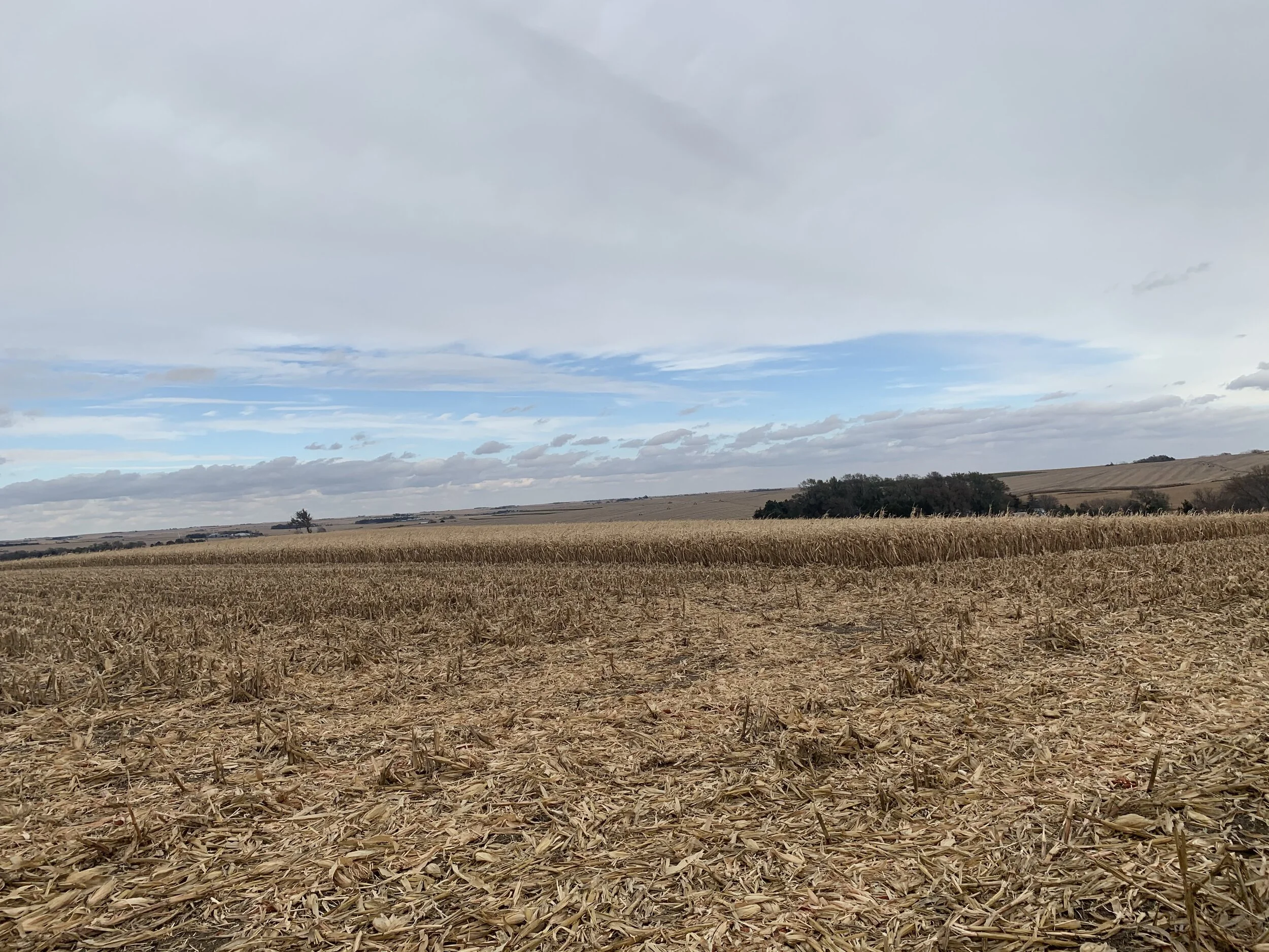 Land For Sale 78.36 +/ Acres Colfax Co. Farm — Land Mark Management