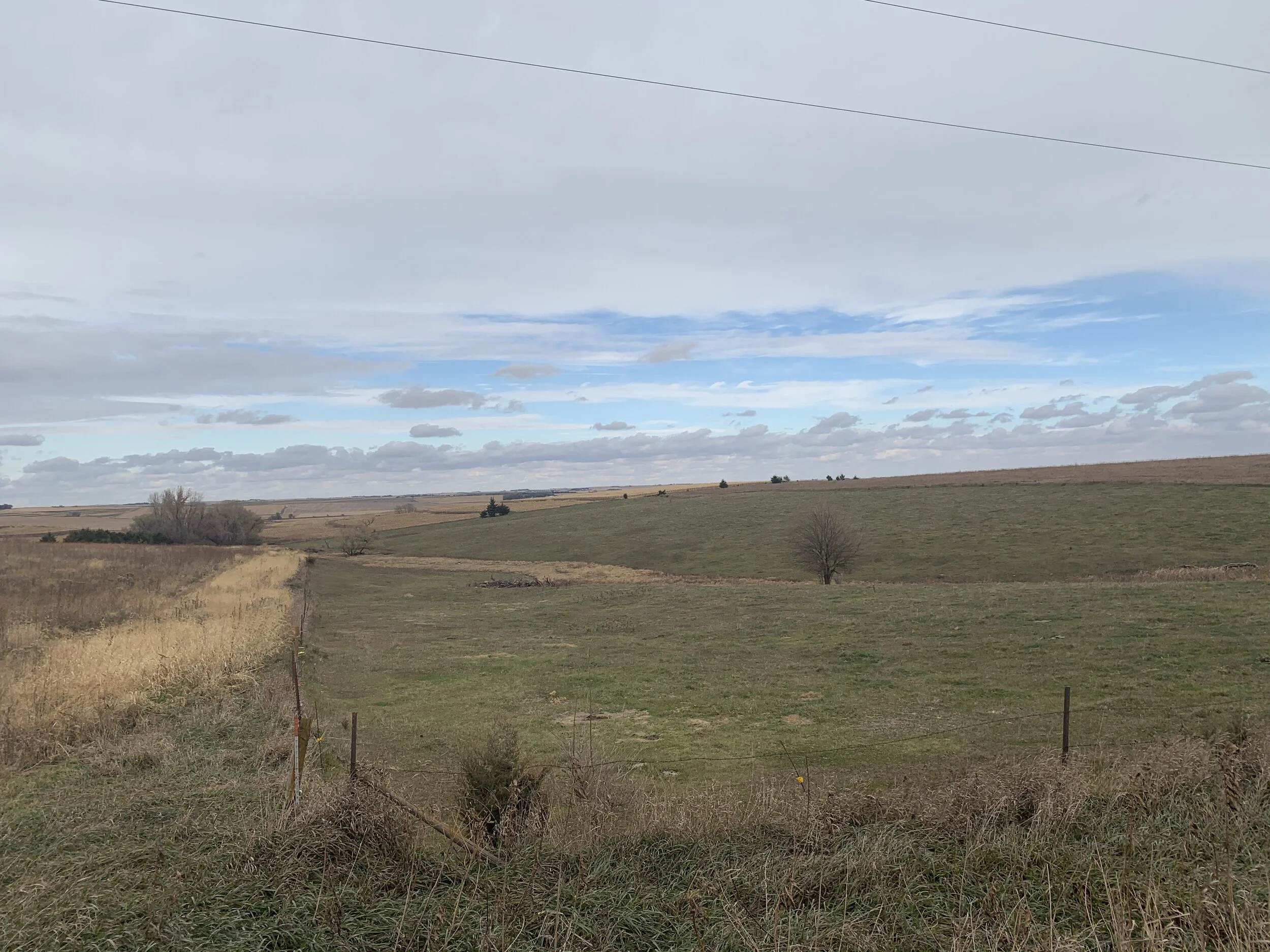 Land For Sale 78.36 +/ Acres Colfax Co. Farm — Land Mark Management