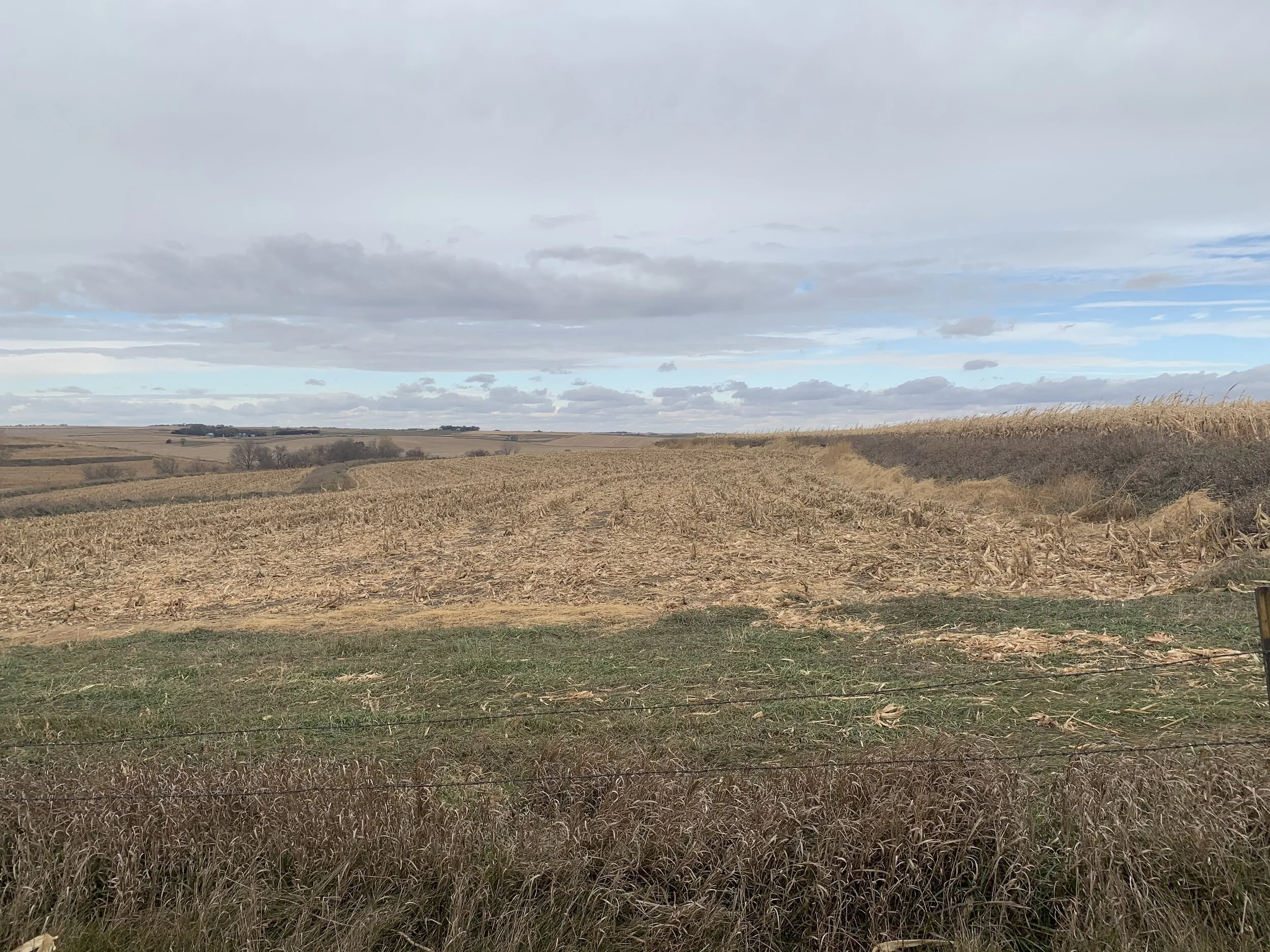Land For Sale 78.36 +/ Acres Colfax Co. Farm — Land Mark Management