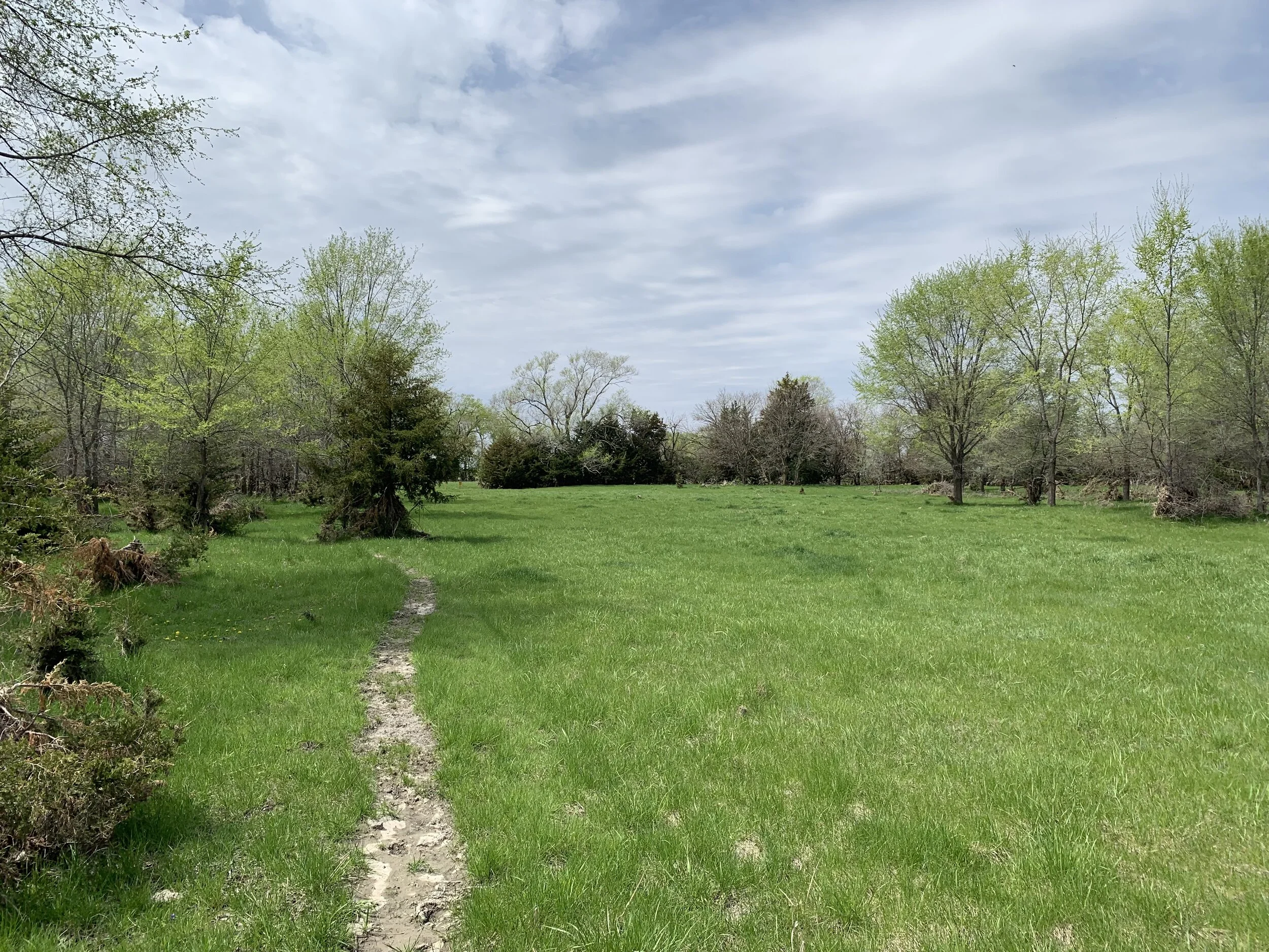 Rec Land For Sale 62 +/ Acres Colfax Co. Land — Land Mark Management