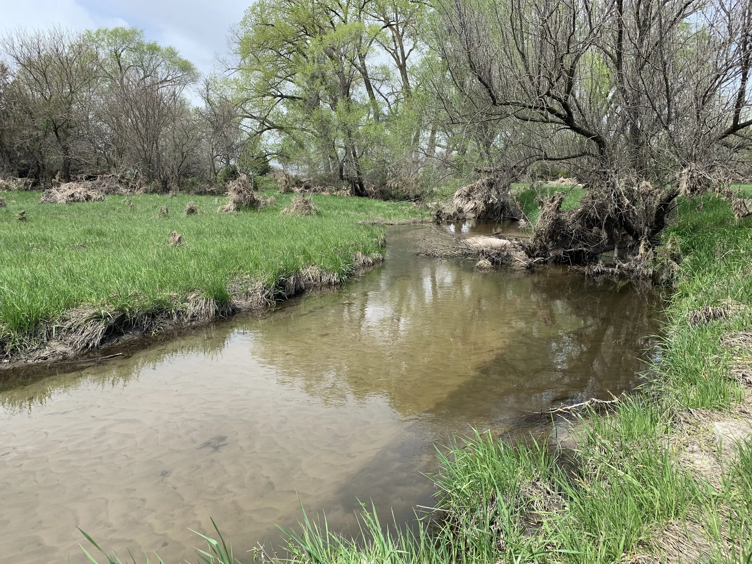 Rec Land For Sale 62 +/ Acres Colfax Co. Land — Land Mark Management & Realty Inc.