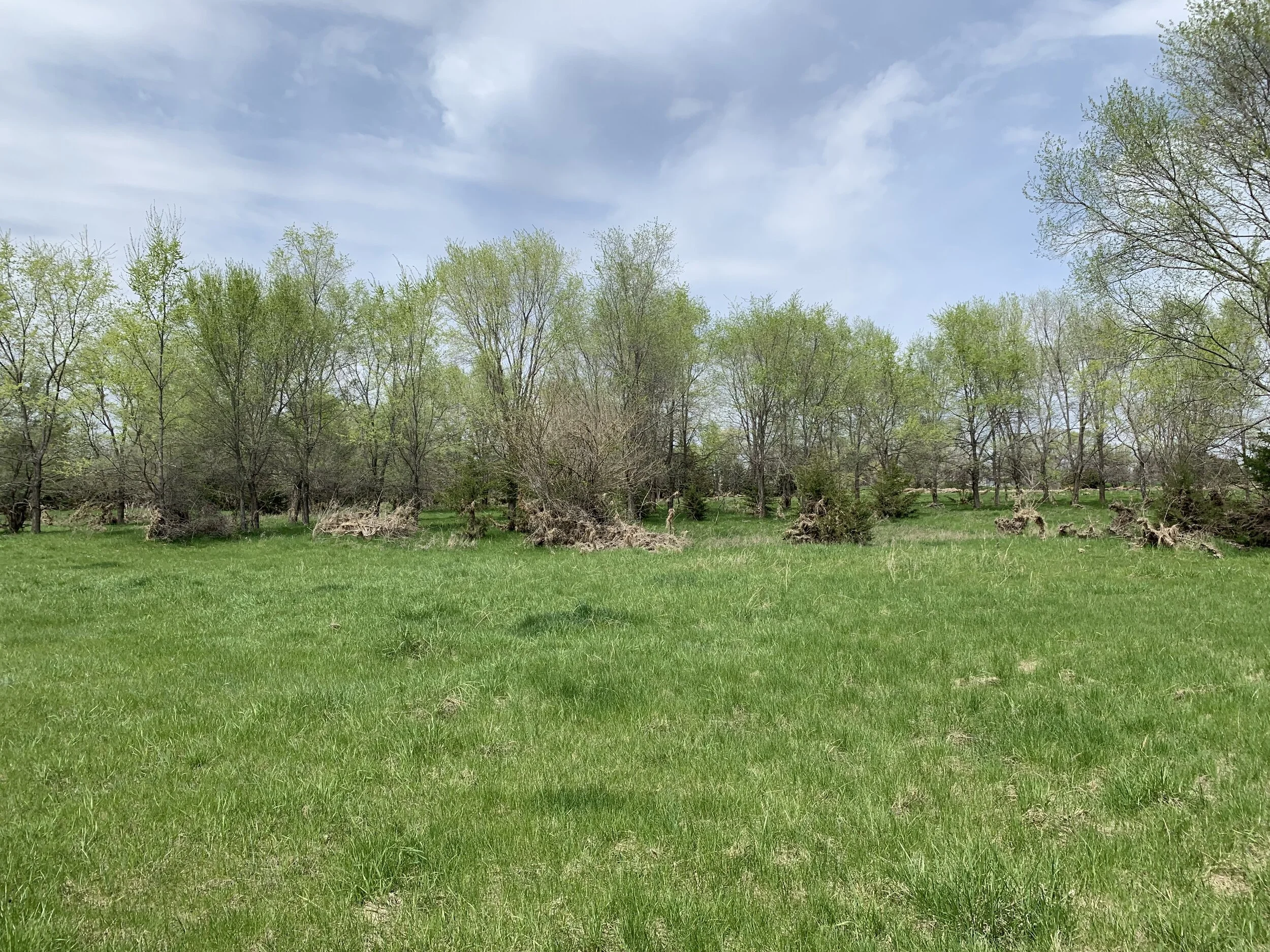Rec Land For Sale 62 +/ Acres Colfax Co. Land — Land Mark Management