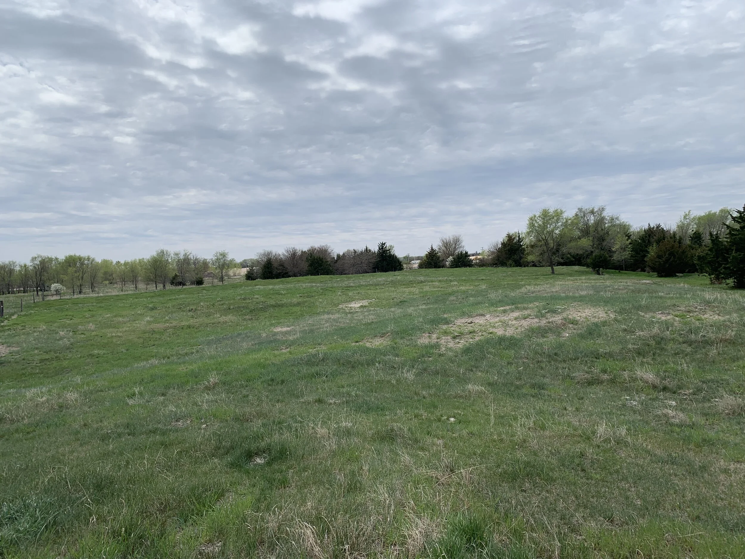 Rec Land For Sale 62 +/ Acres Colfax Co. Land — Land Mark Management