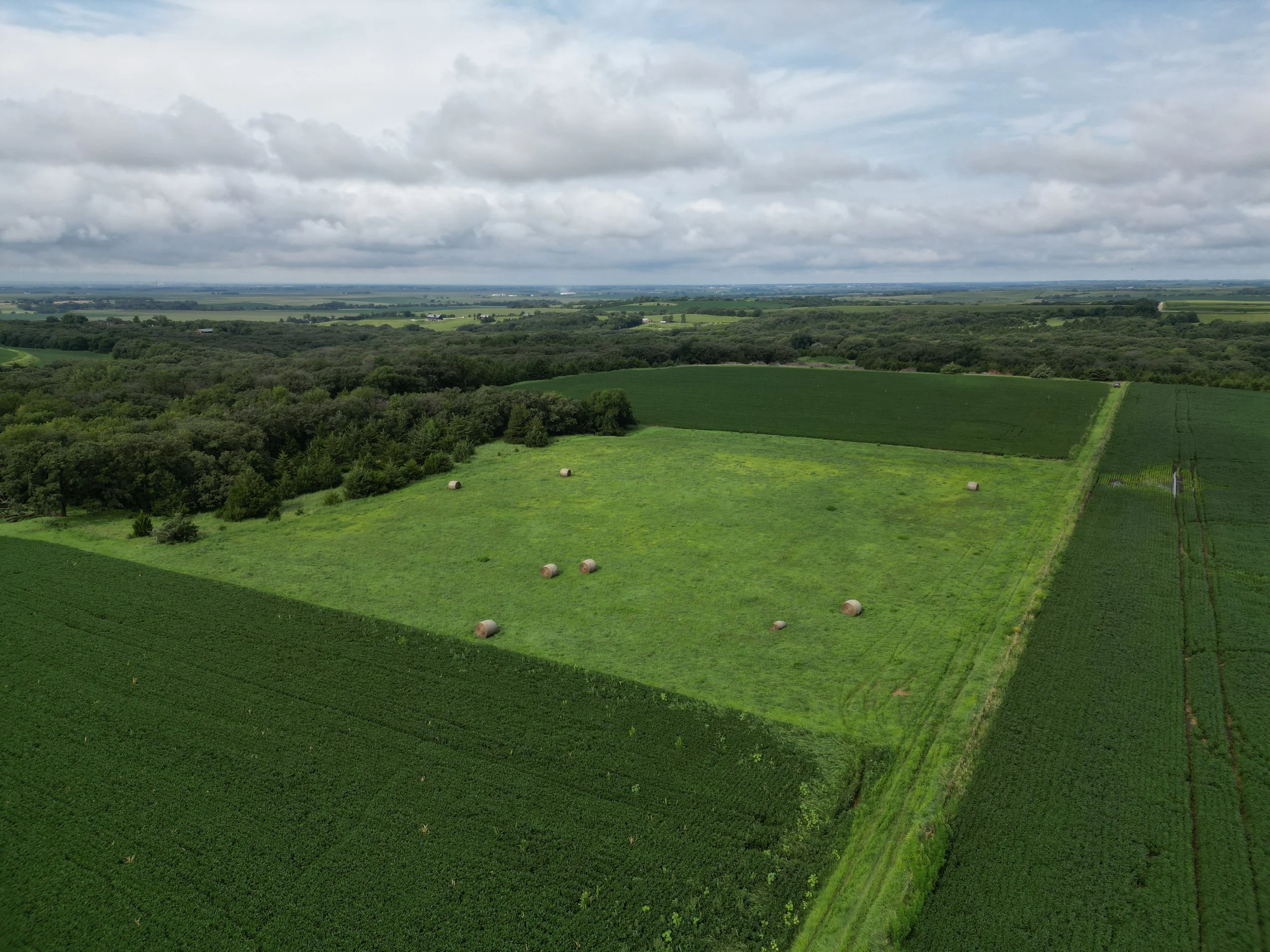 DJI_0216.JPG