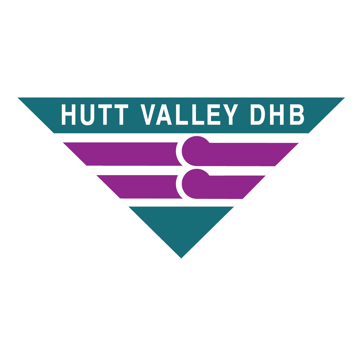 Hutt Valley Grid Resize.jpg