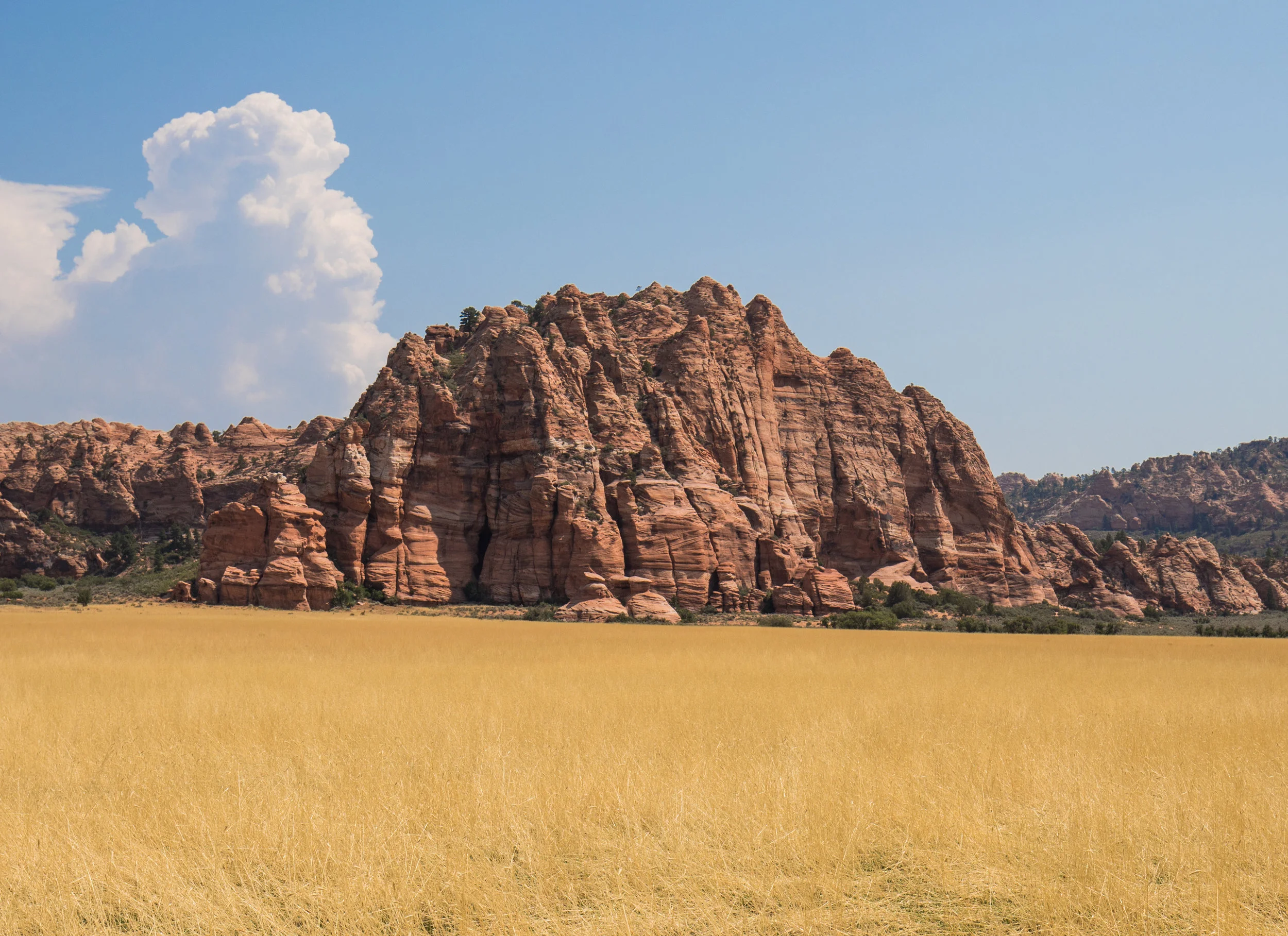 No shortage of amazing views on the drive up Kolob Terrace Road.
