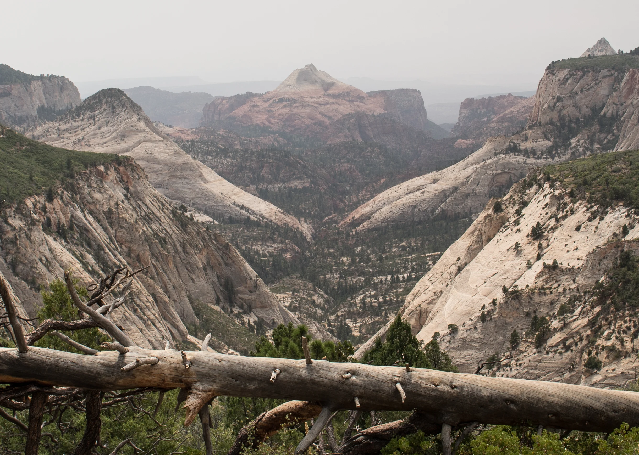 You first scenic view on the trail is a good one!