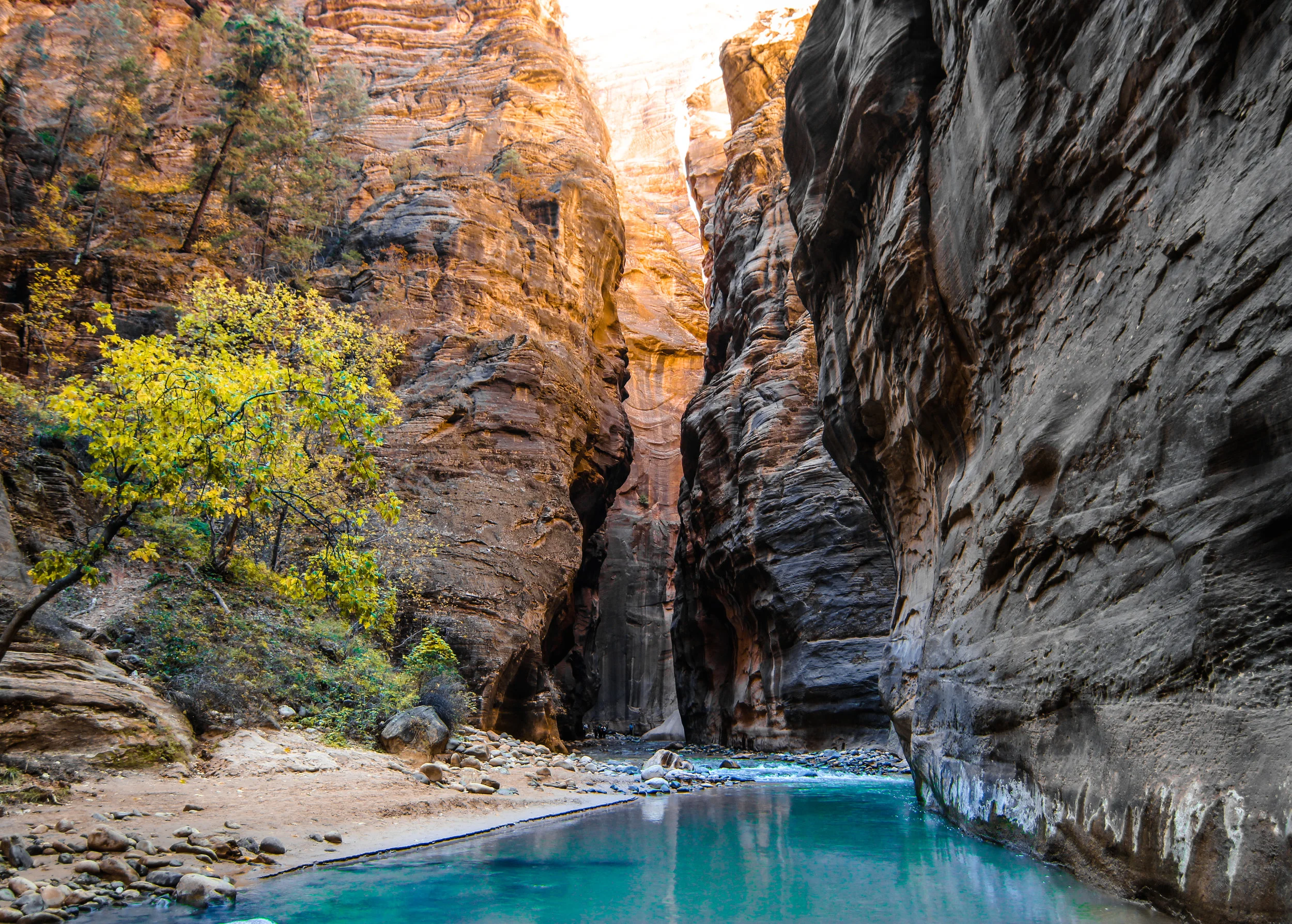 The Narrows // Photo: Me! (Randy Johnson)