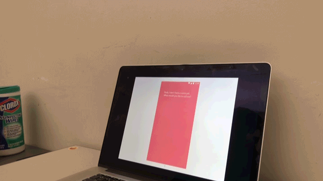 usertesting2.gif