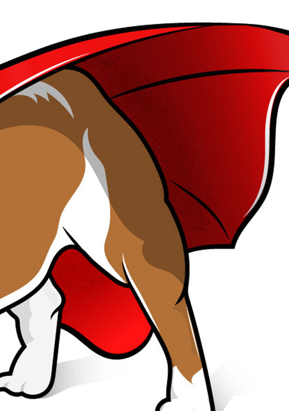 Website-Underdog.png
