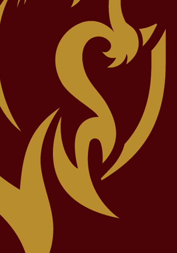 Website-Despo-Nation.png