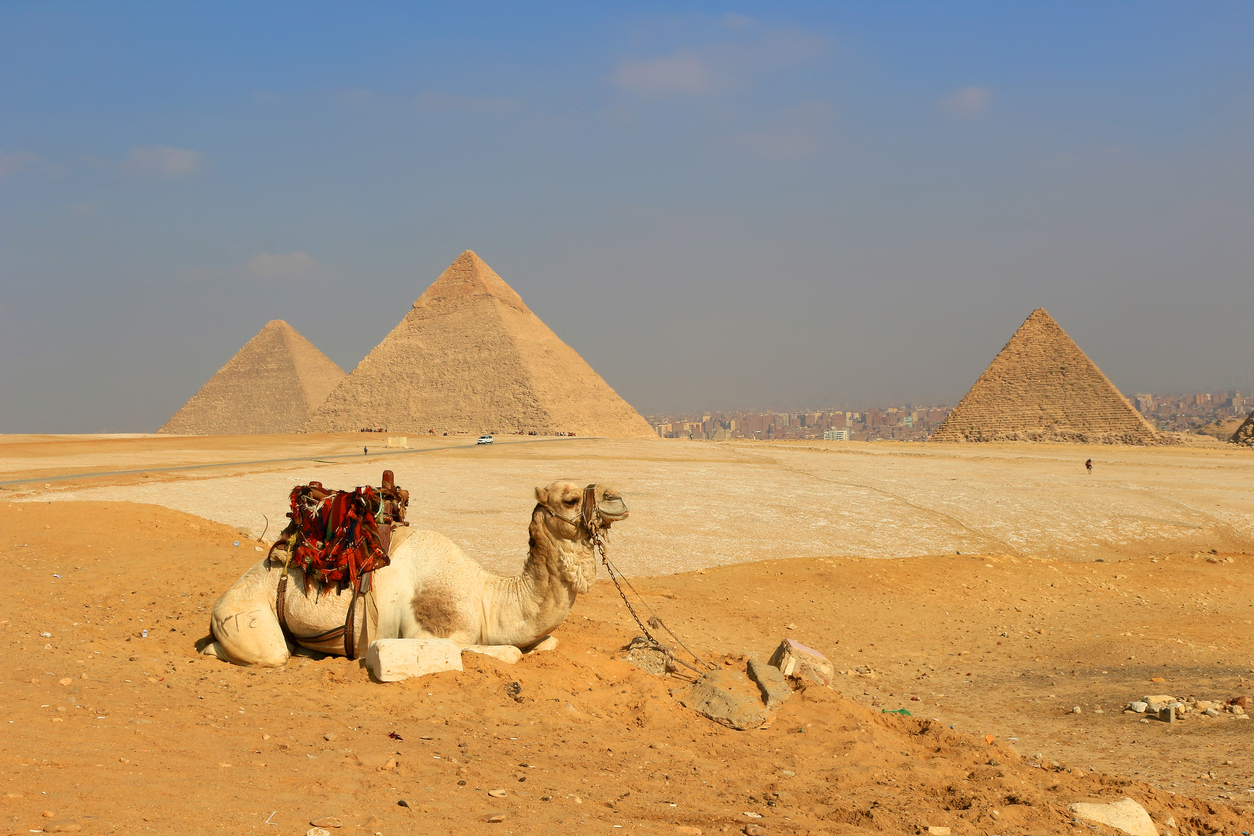 Camel-The-Pyramids-of-Egypt-at-Giza-636739122_1257x838.jpeg