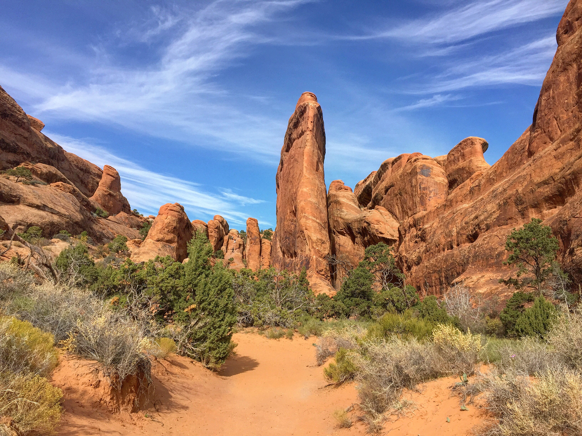 Devil's-Garden-at-Arches-National-Park-in-Utah,-USA-910765254_1185x889.jpeg