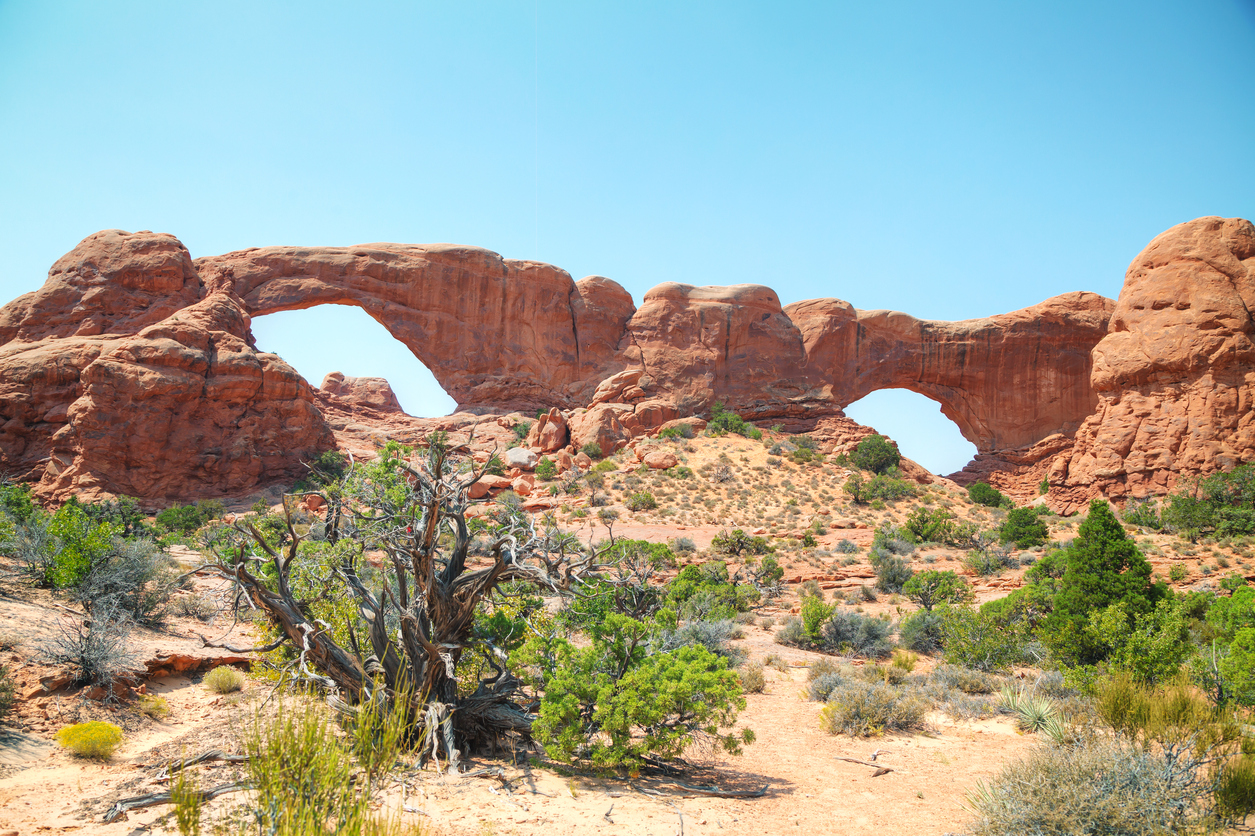 South-and-North-Window-Arches-895782160_1258x838.jpeg