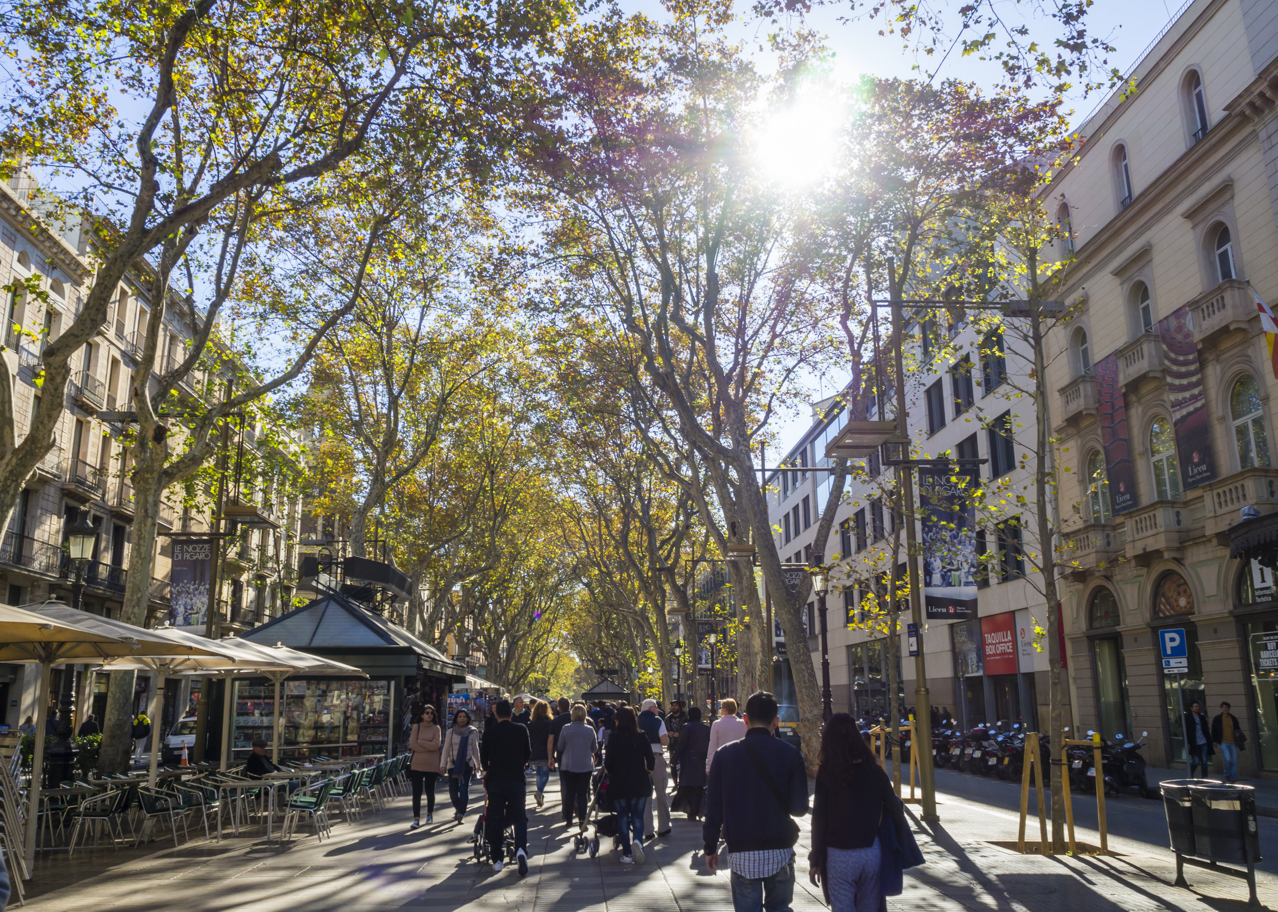 Barcelona---La-Rambla-boulevard-867842990_4608x3289.jpeg