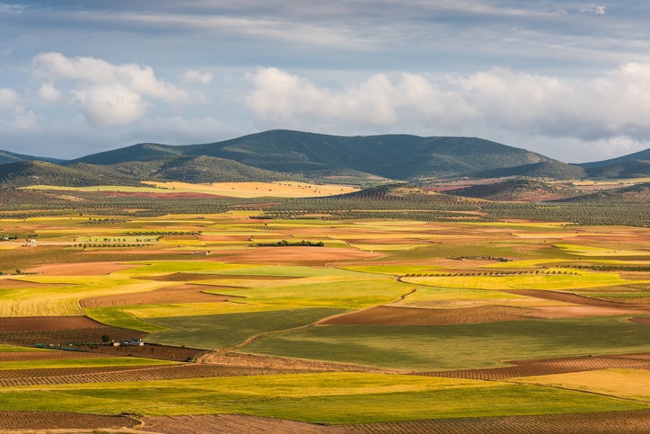 Colorful-fields-with-crop,-farming-landscape-in-Spain-685819660_726x484.jpeg