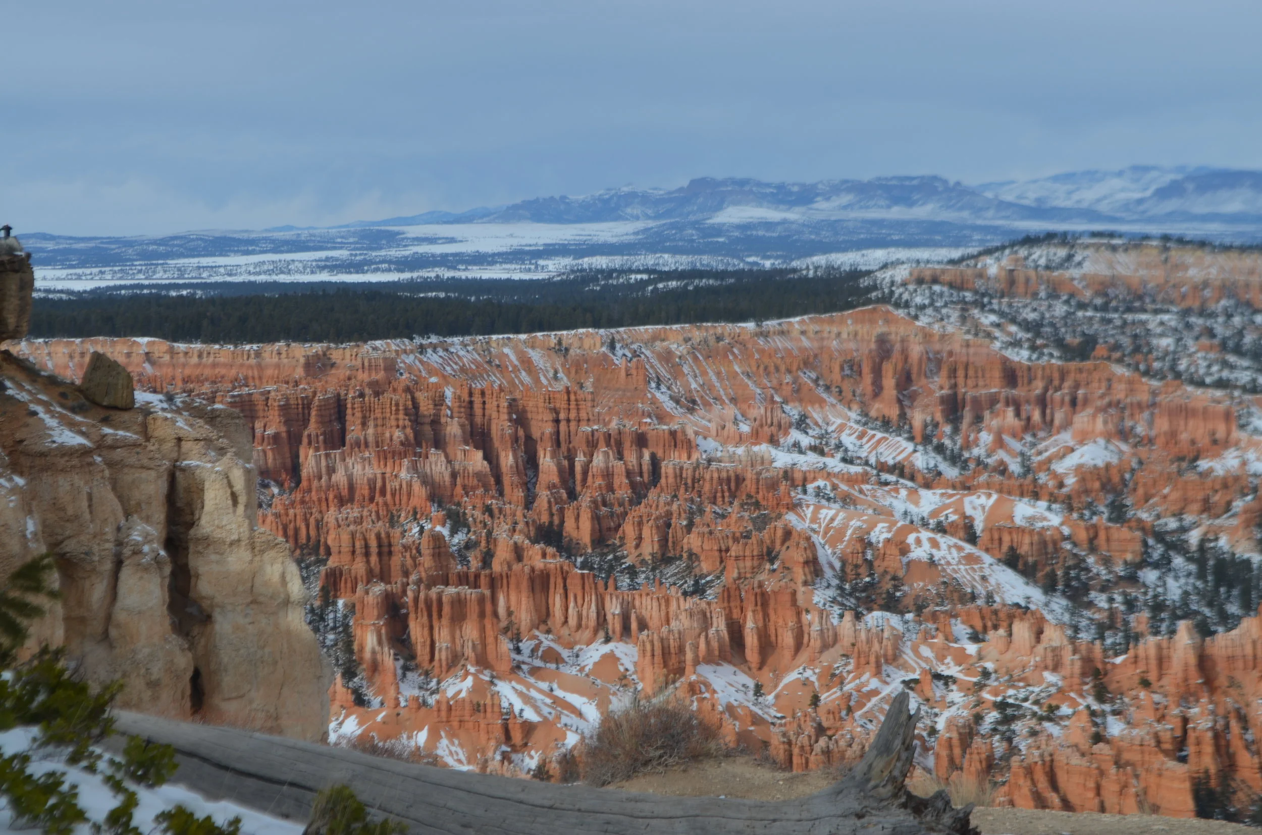 DSC_0082.JPG