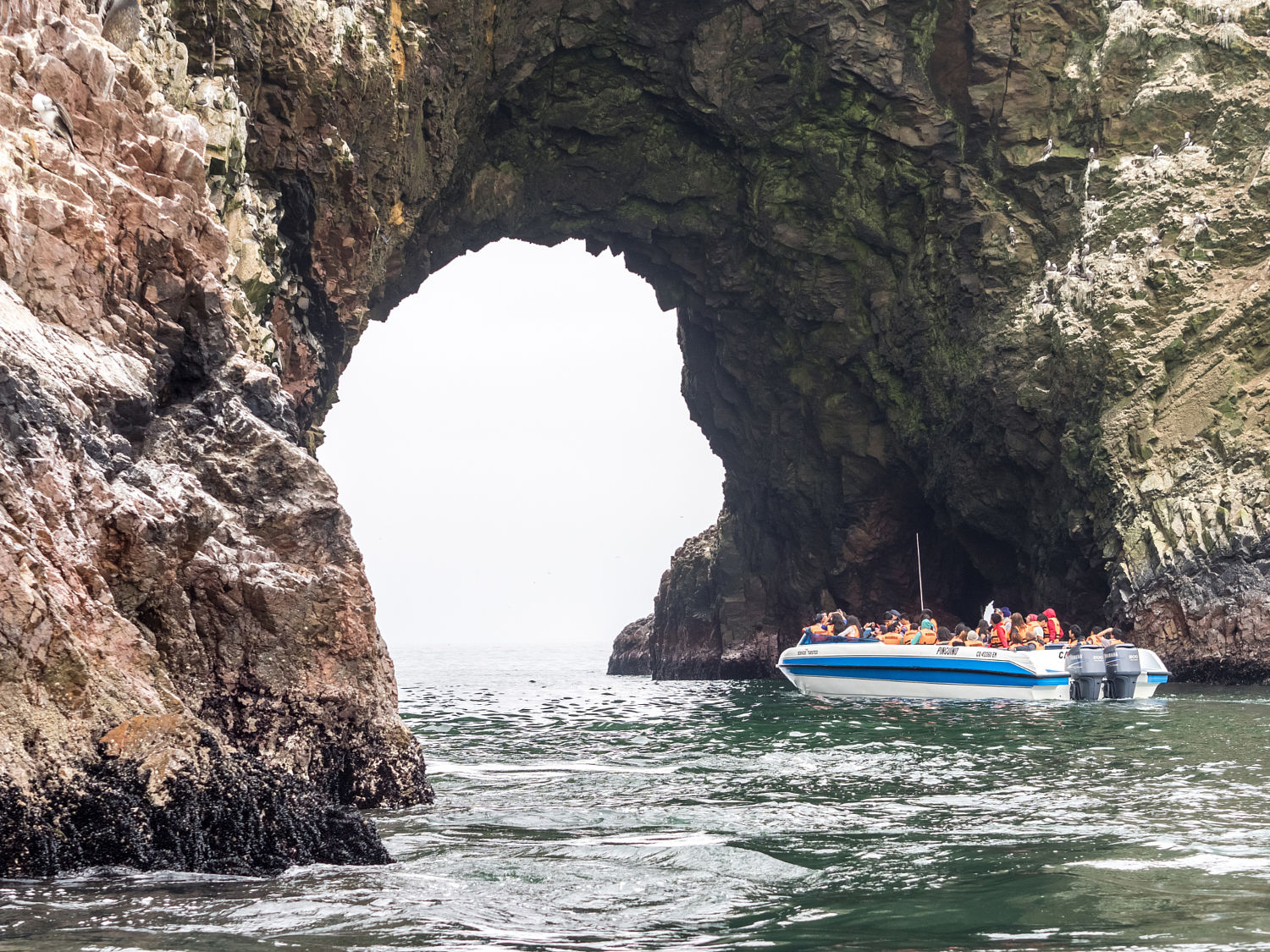 12022016105824-isla-ballestas-paracas.jpg