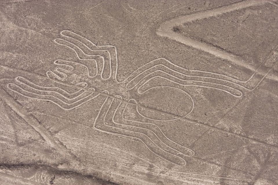 nazca_lines_spider-56a114d93df78cafdaa935f4.jpg