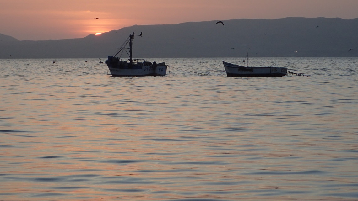 paracas peru.jpg