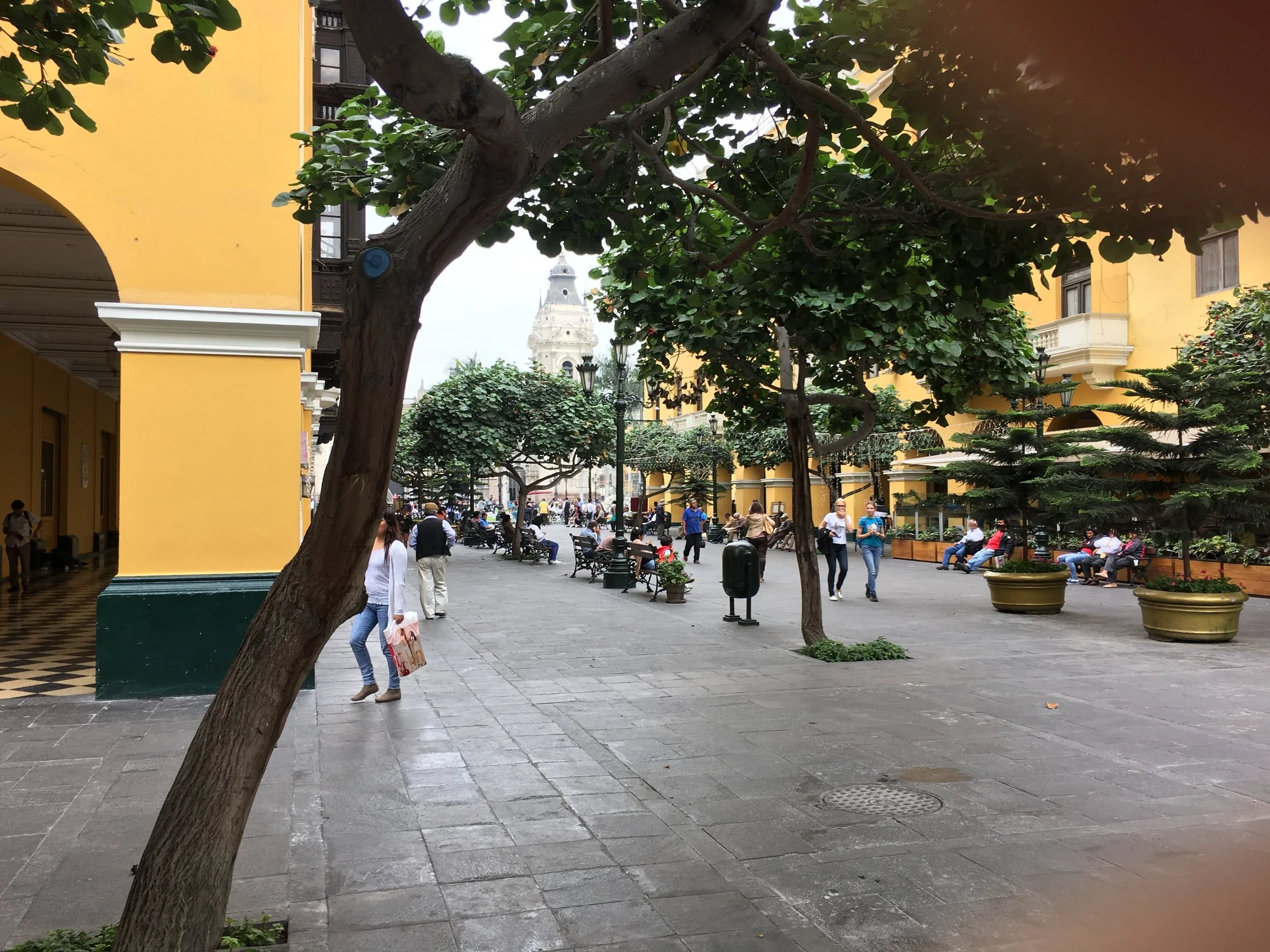 IMG_0362.JPG