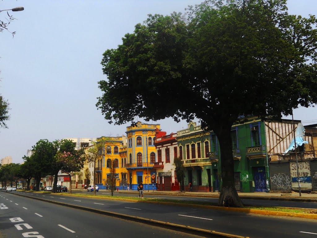 Lima31.jpg
