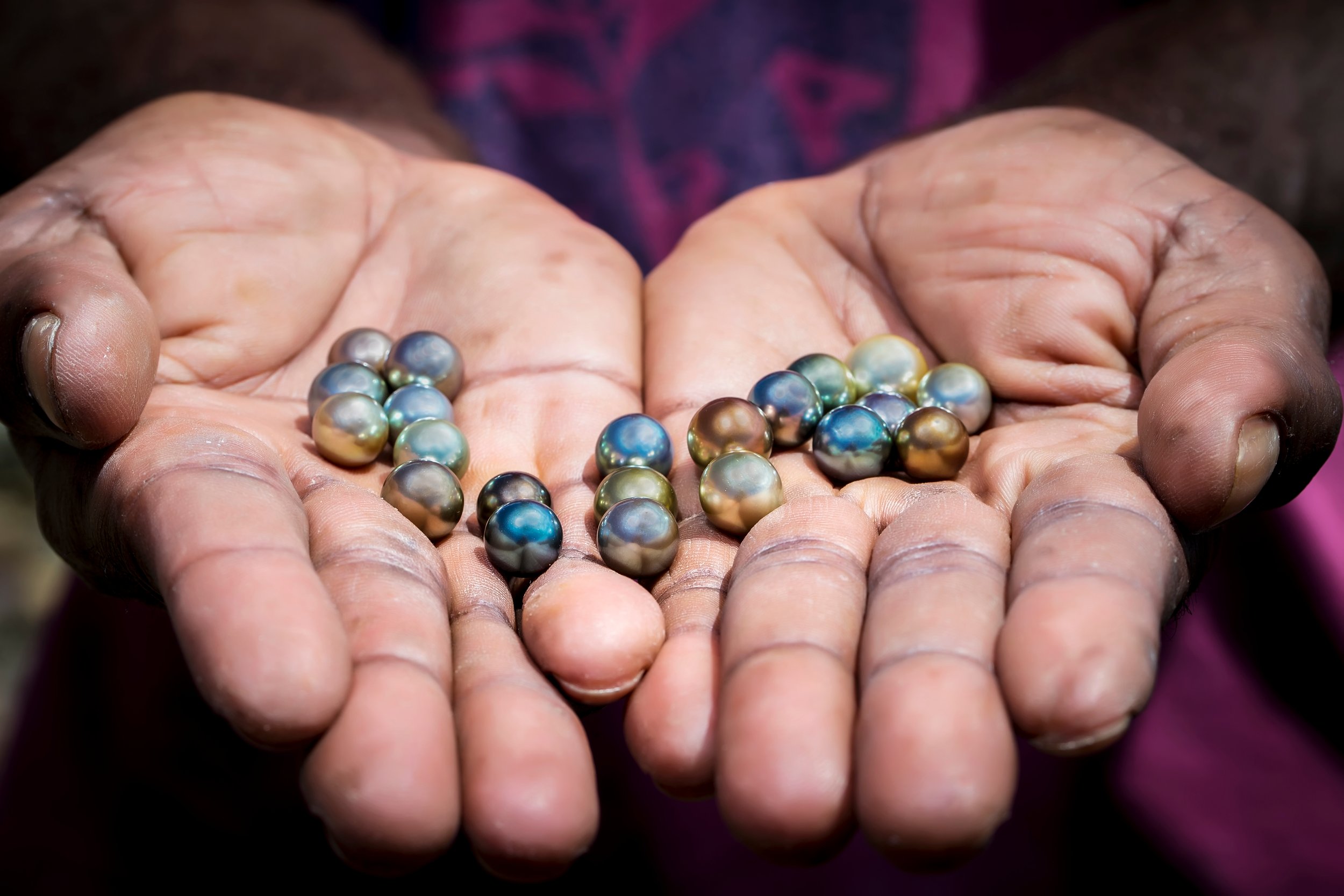 A truly sustainable gem, Fiji Pearls by J. Hunter.jpg