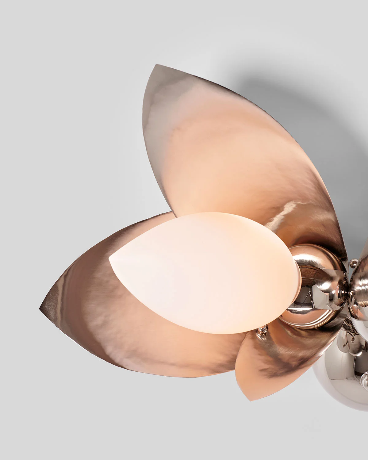Brushed & polished nickel