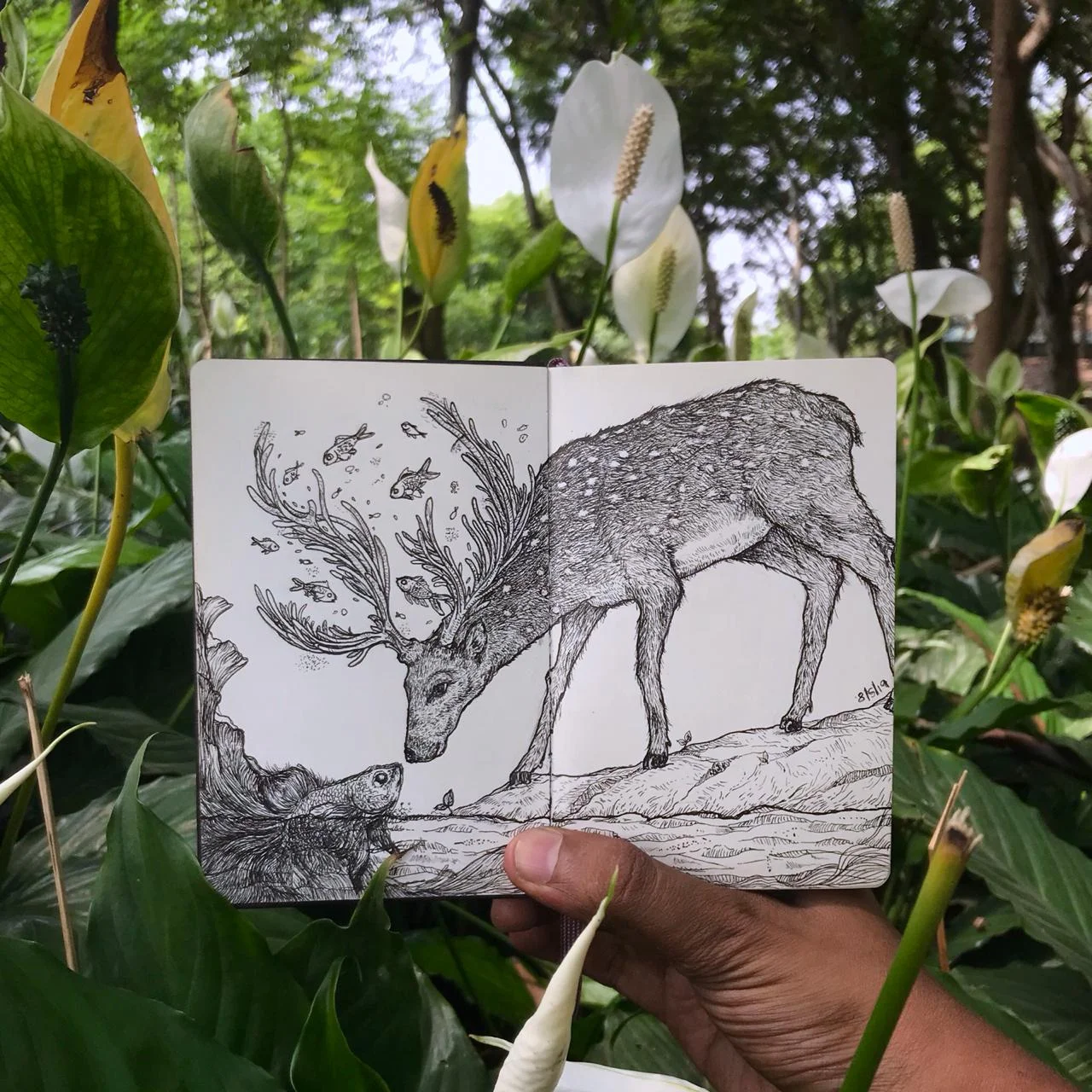 Goutham is a talented sketch artist who is passionate about the planet. When and where ever he can, he advocates no plastic and taking care of our environment. He sketched this beautiful Deer during a photowalk I recently conducted in Bangalore. He asked me to write a poem for his sketch and this is what I wrote -