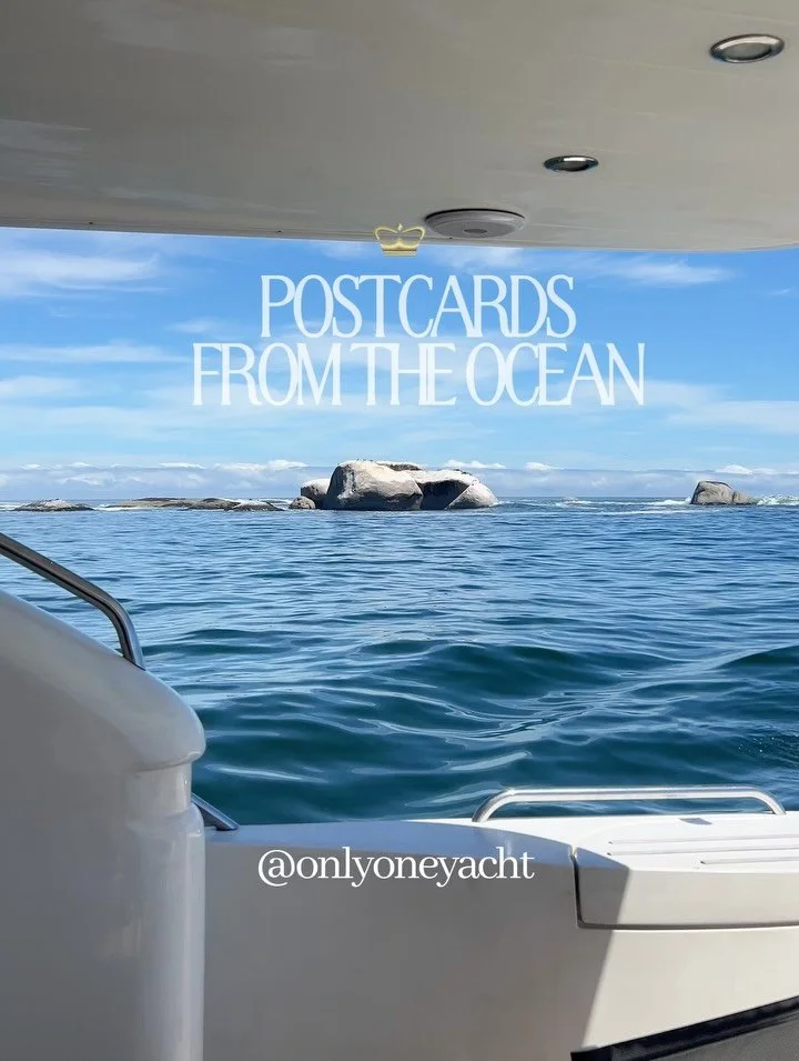 Welcome onboard 🪩 Only One 
.
.
.
.
#yachtingexperience #capetownyacht #capetowntravel #caeptownexperience #onlyoneyacht