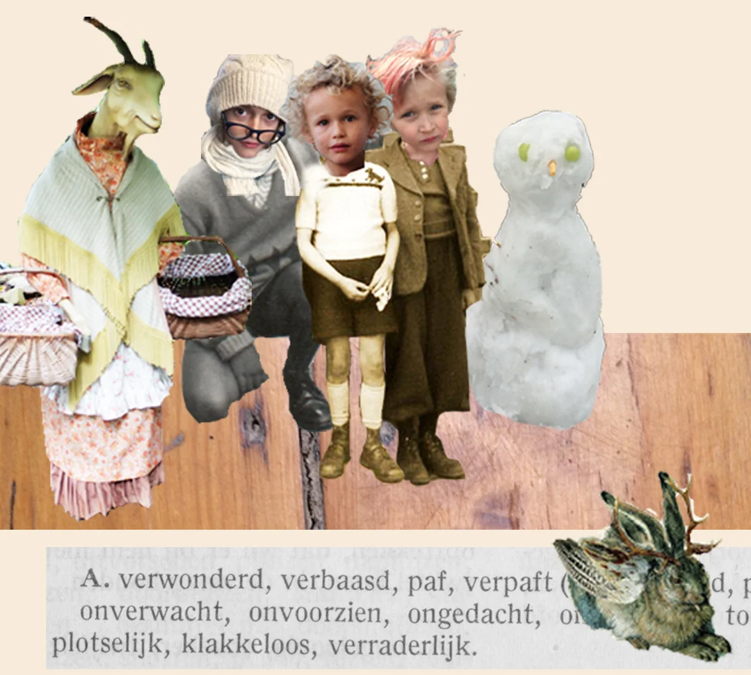 Eigen collage bij het woord 'verwondering'