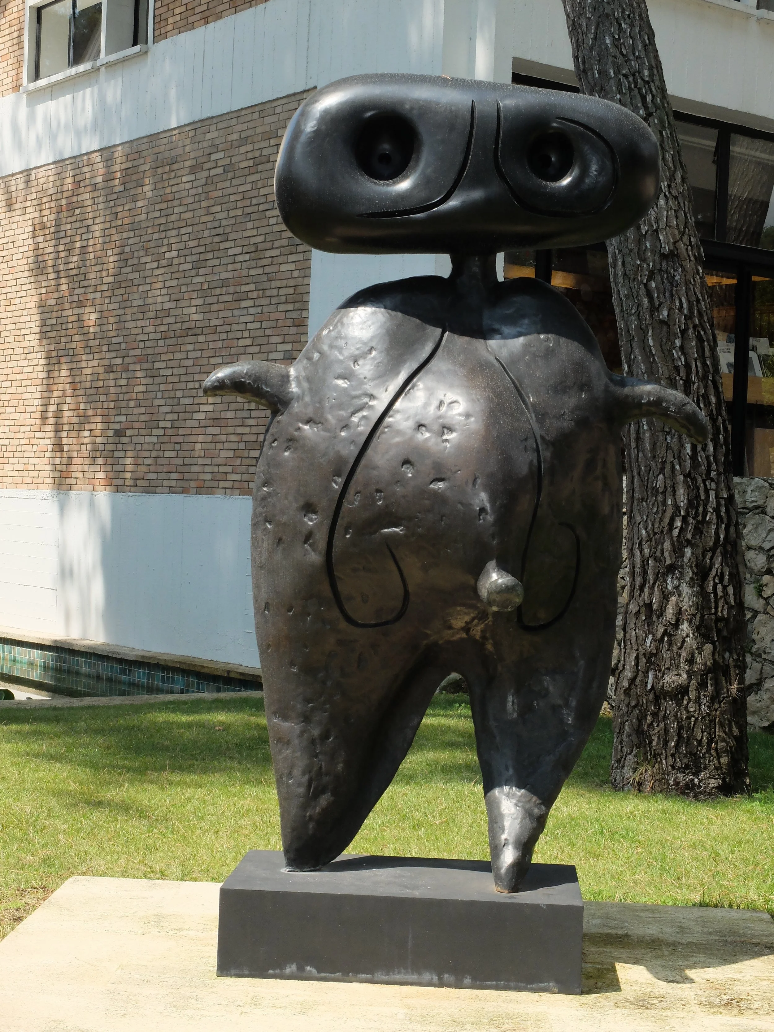 DSCF7363.jpg