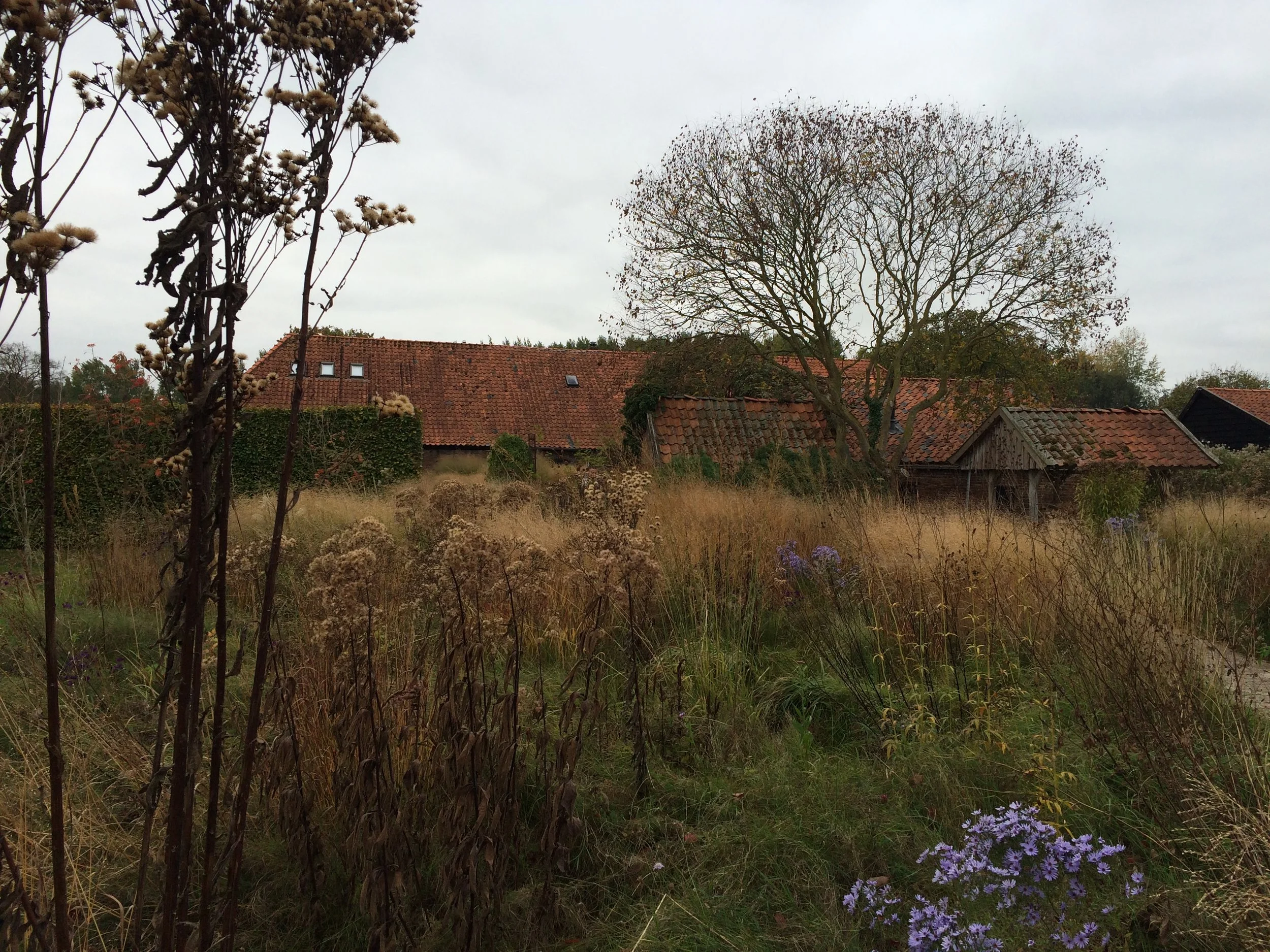 De tuin van Piet Oudolf