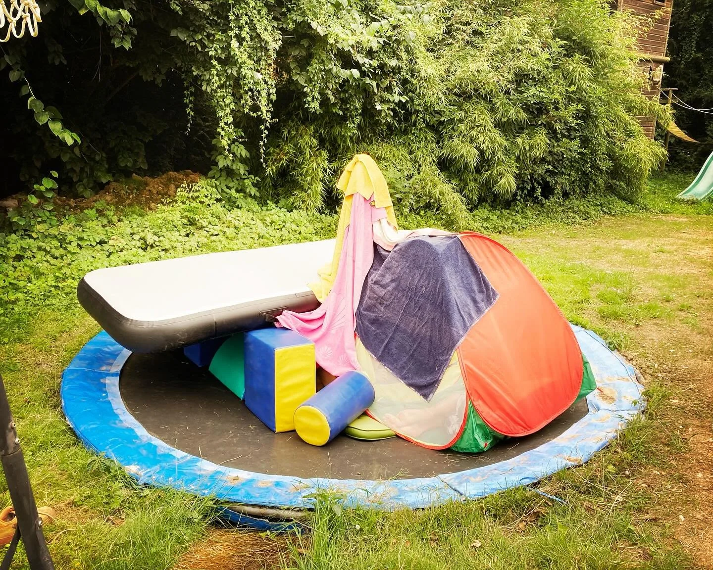 Summervibes. #seasonalflowers #gardenfun #bloemen #gardeningisgoodforthesoul
#lovelife #goodlife #archivarisvanvervlogentijden 
#schrijven #family