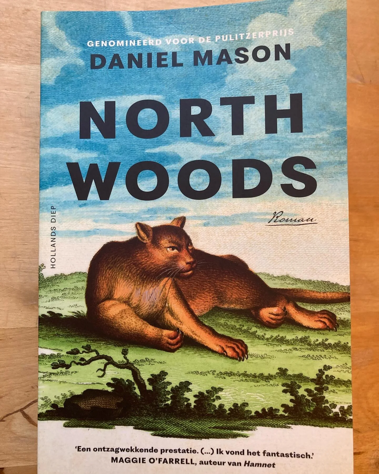Heel fijn boek! Het verhaal van een huis, een plek, een bos over de eeuwen heen. 📕 #lovereading #booklover #nature #history #archivarisvanvervlogentijden