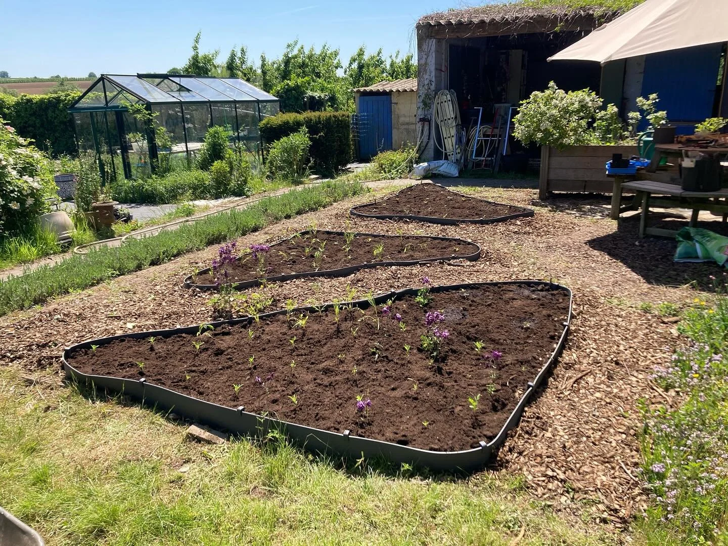 De verftuin midden mei en vandaag. 🌸🫶🏻. #seasonalflowers #naturalgarden #gardenfun #biodiversity #nature #wildgarden #gardeninglife #lovenature #flowergram #flowersofinstagram #localflowers #wildflowers #flowers #bloemen #gardeningisgoodforthesoul