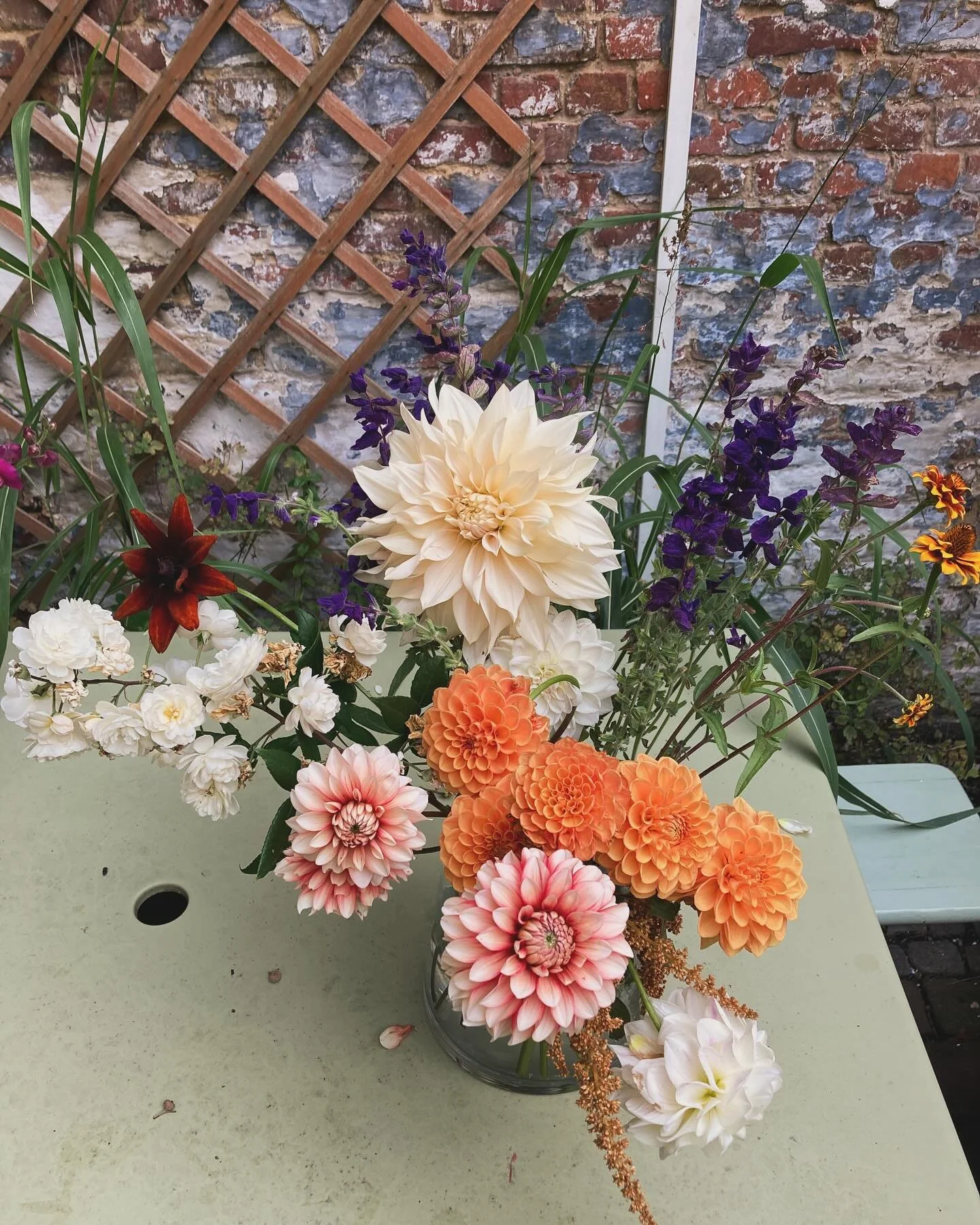 Geniet van de herfst! 🍂 #herfst #bloemen #flowers #biodiversity #nature #wildgarden #gardeninglife #lovenature #lovelife #homemade #blijvenleren #mygreenparadise #groenparadijs