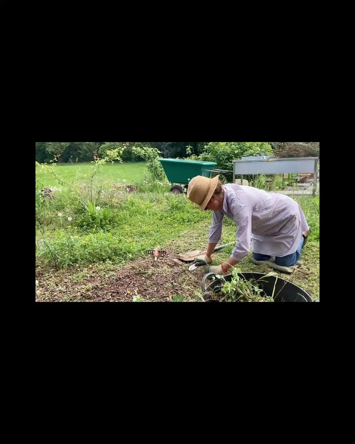De &lsquo;jardin des plantes tinctoriales&rsquo; oftewel &lsquo;de verftuin&rsquo; is af. Gevuld met planten om textiel te verven: wouw, wede, meisjesogen, afrikaantjes, saffloer, indigo. Benieuwd of dit lukt. Weer een stap dichter bij het groene par